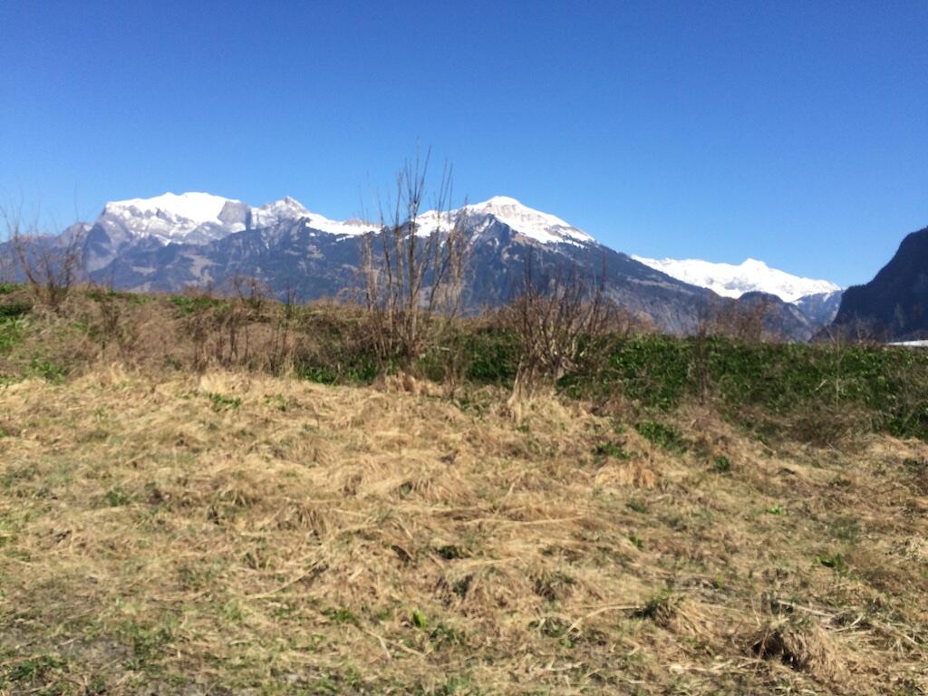 Bild ohne Beschreibung Bild ohne Beschreibung