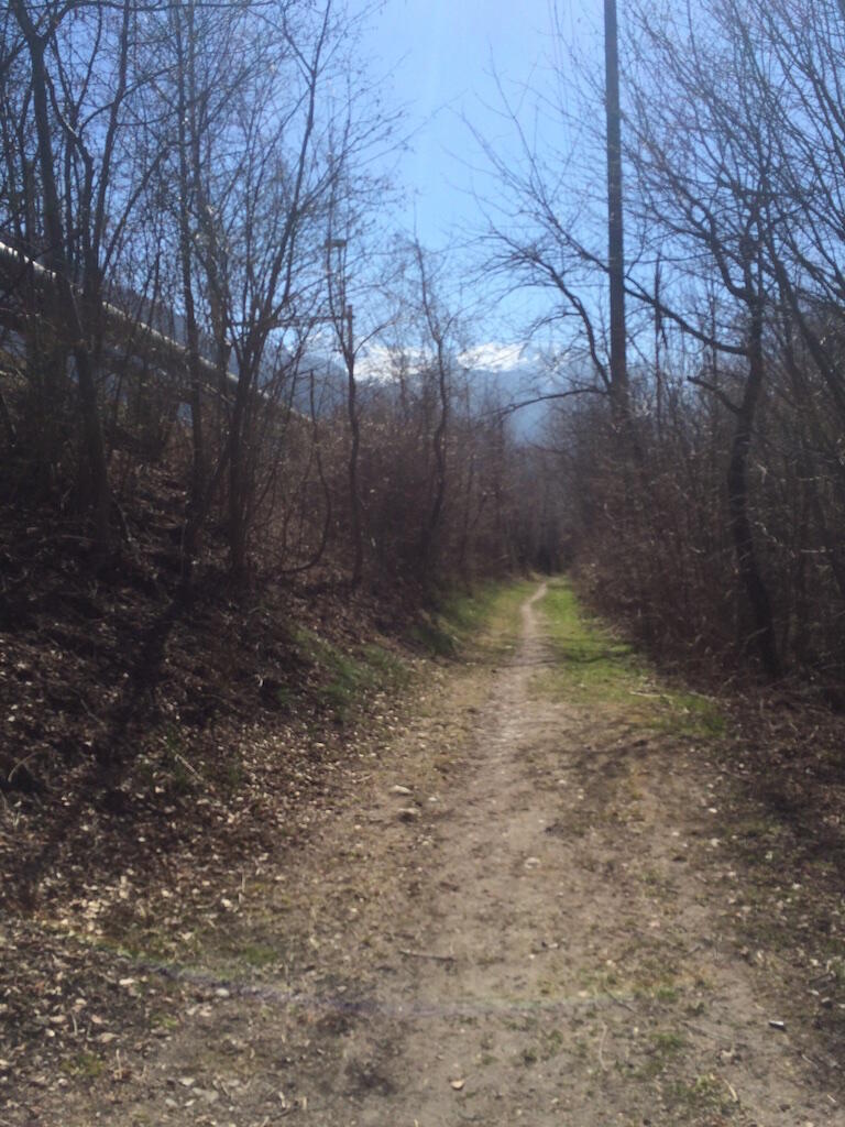 Bild ohne Beschreibung Bild ohne Beschreibung