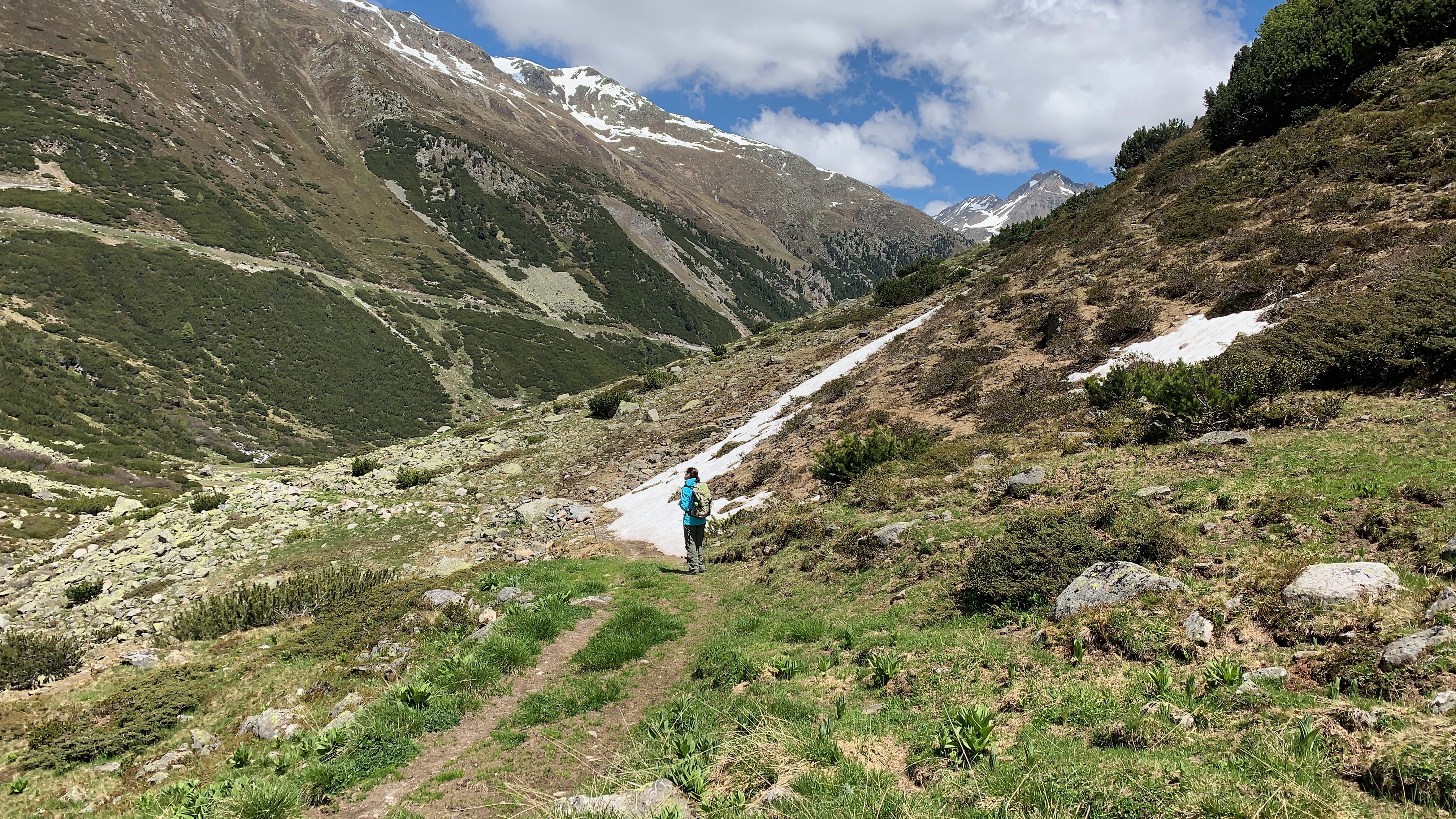 Bild ohne Beschreibung