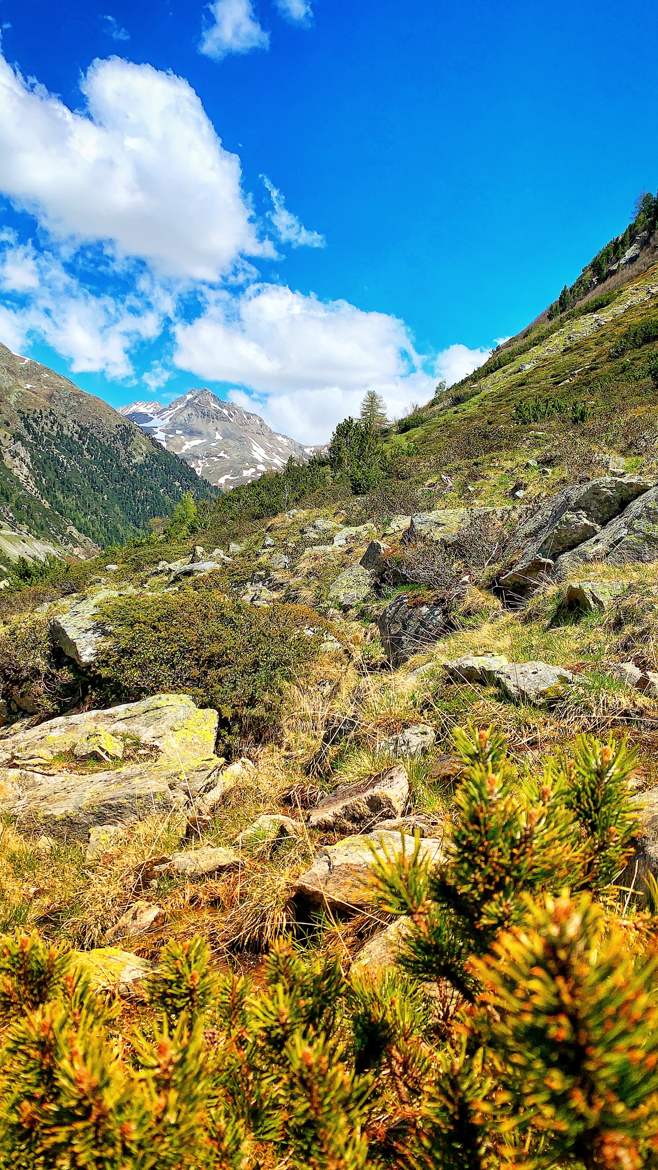 Bild ohne Beschreibung