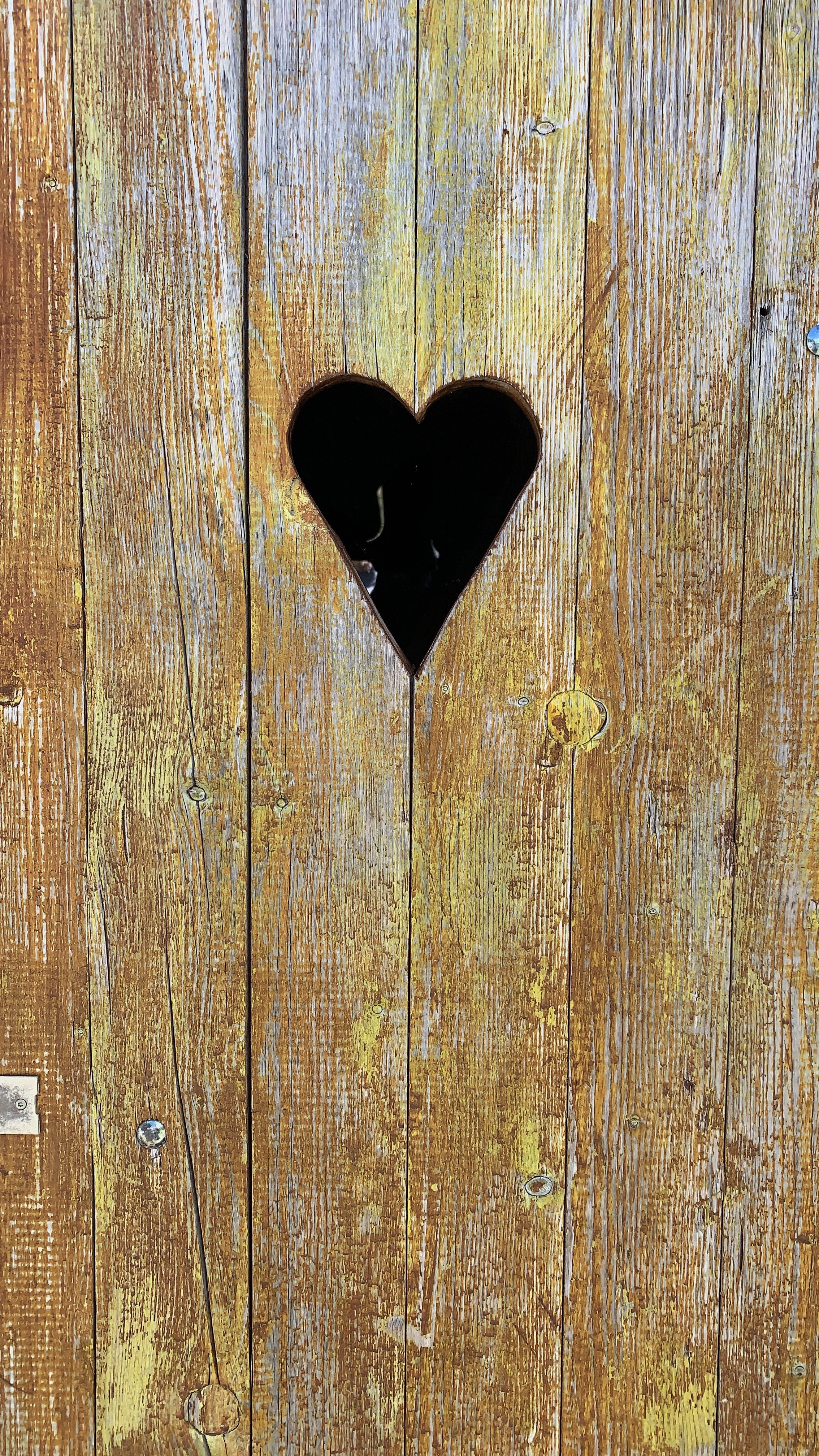 Bild ohne Beschreibung