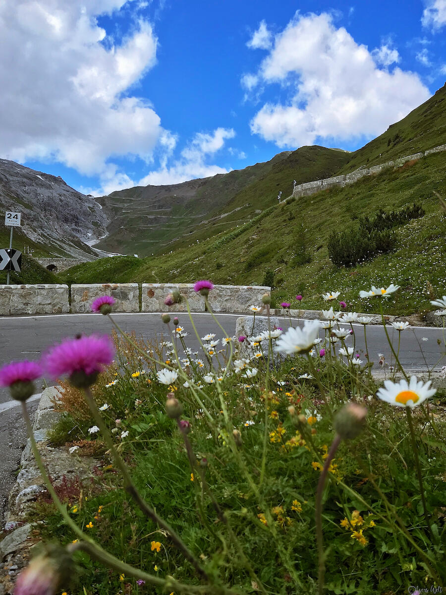 Bild ohne Beschreibung