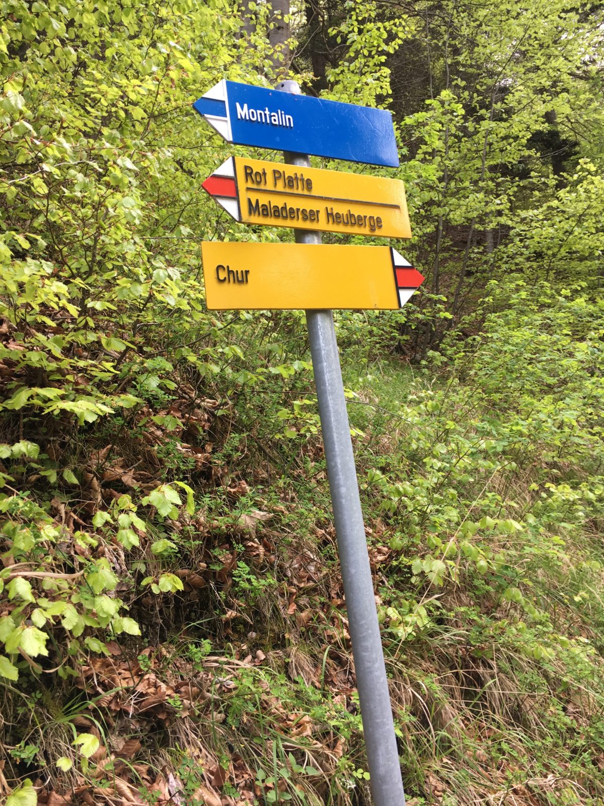 Bild ohne Beschreibung