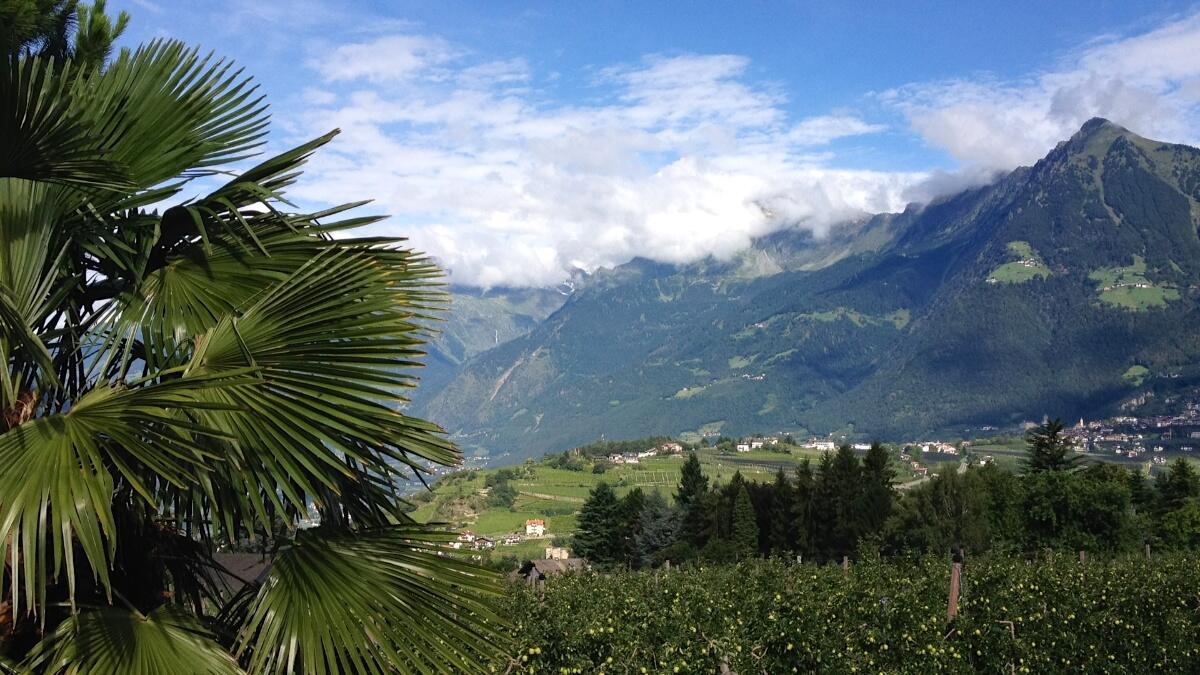 Bild ohne Beschreibung Bild ohne Beschreibung