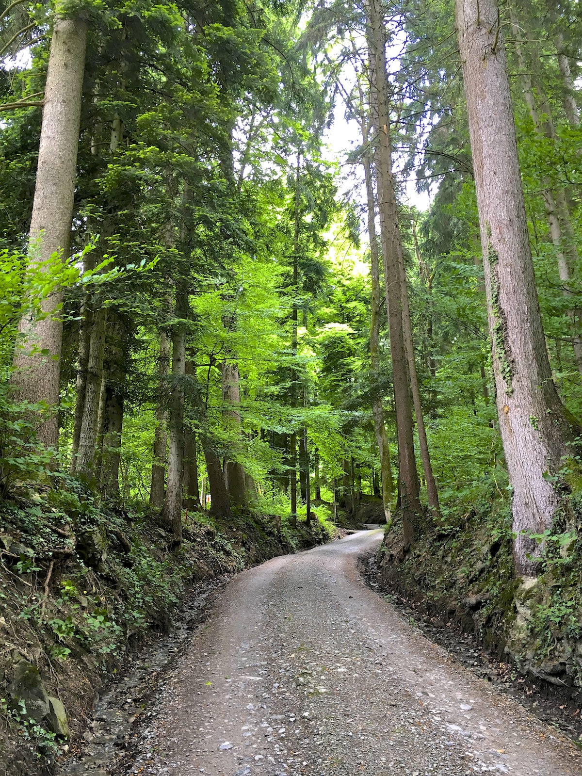 Bild ohne Beschreibung