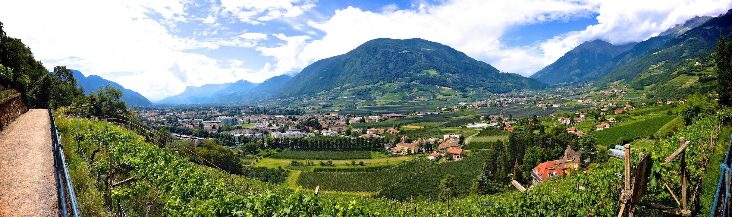 Bild ohne Beschreibung