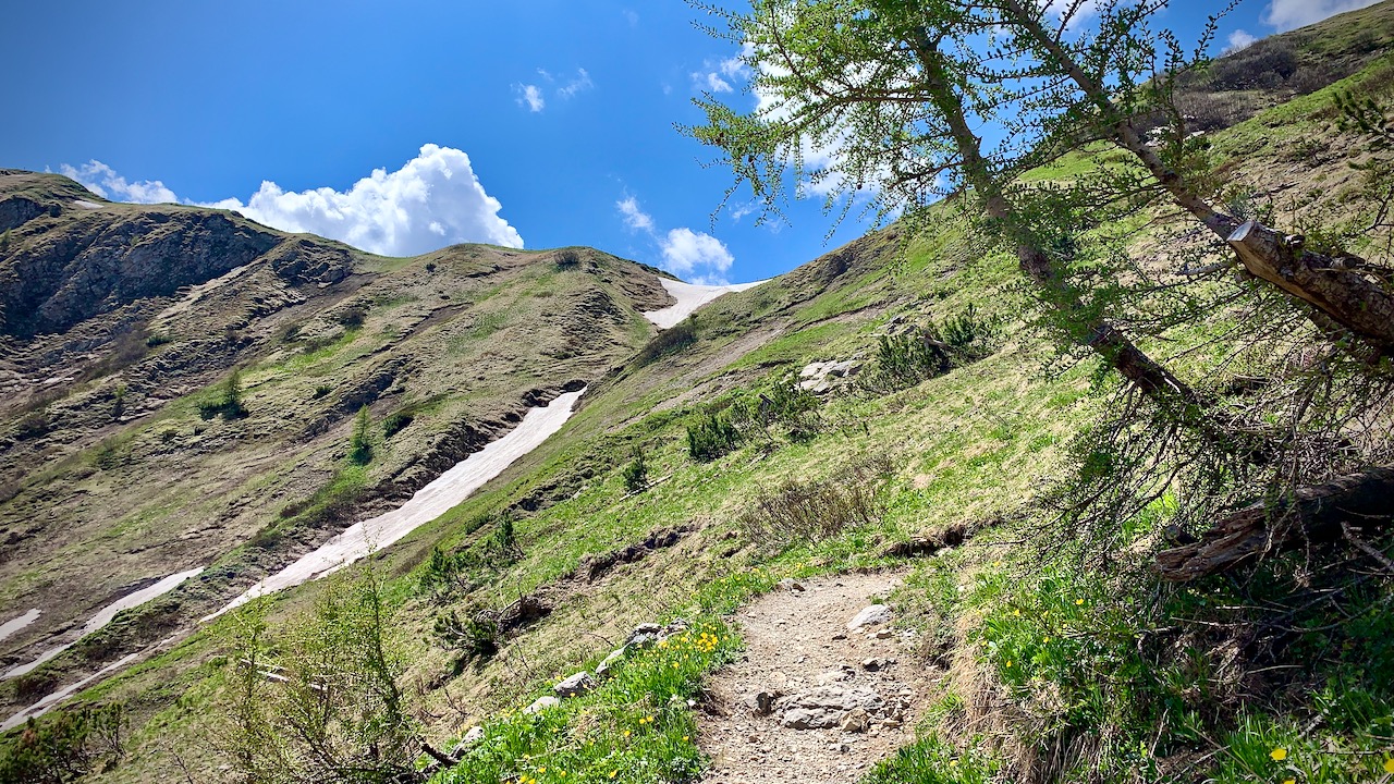 Bild ohne Beschreibung