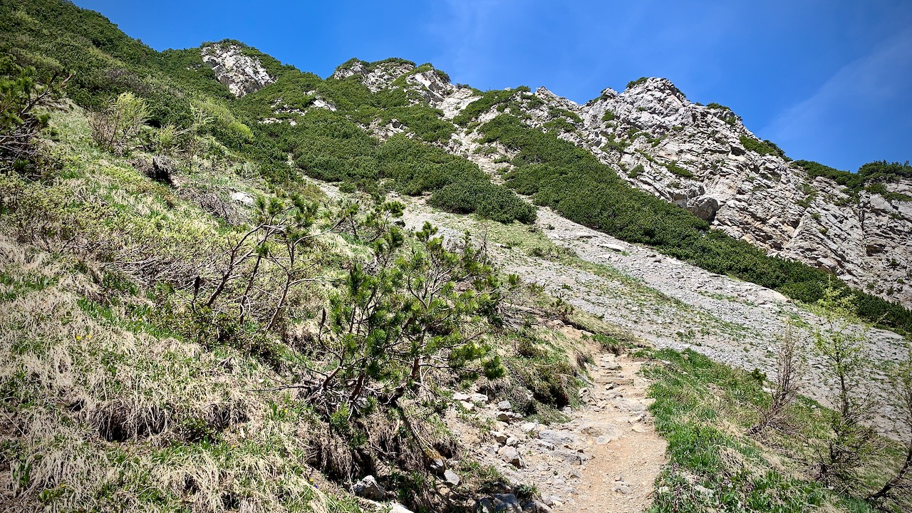 Bild ohne Beschreibung