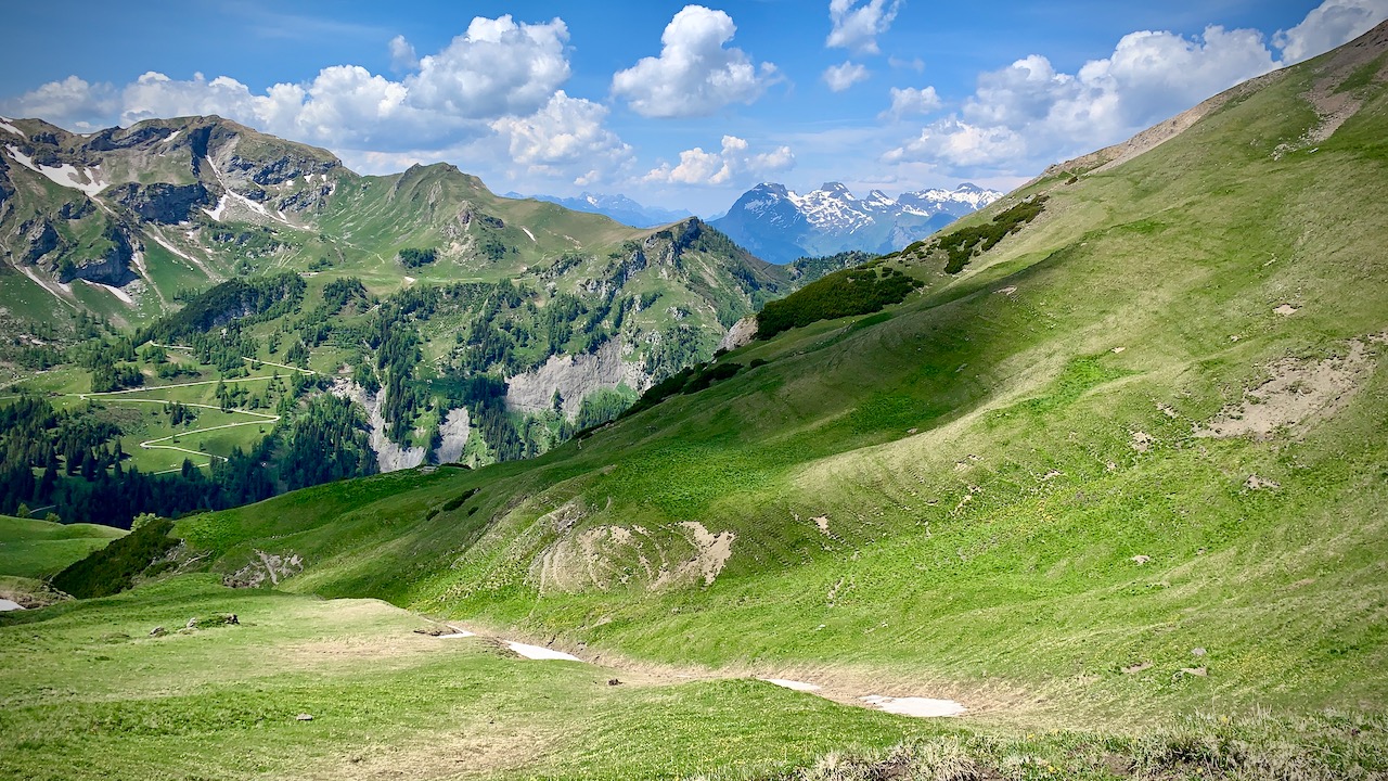 Bild ohne Beschreibung