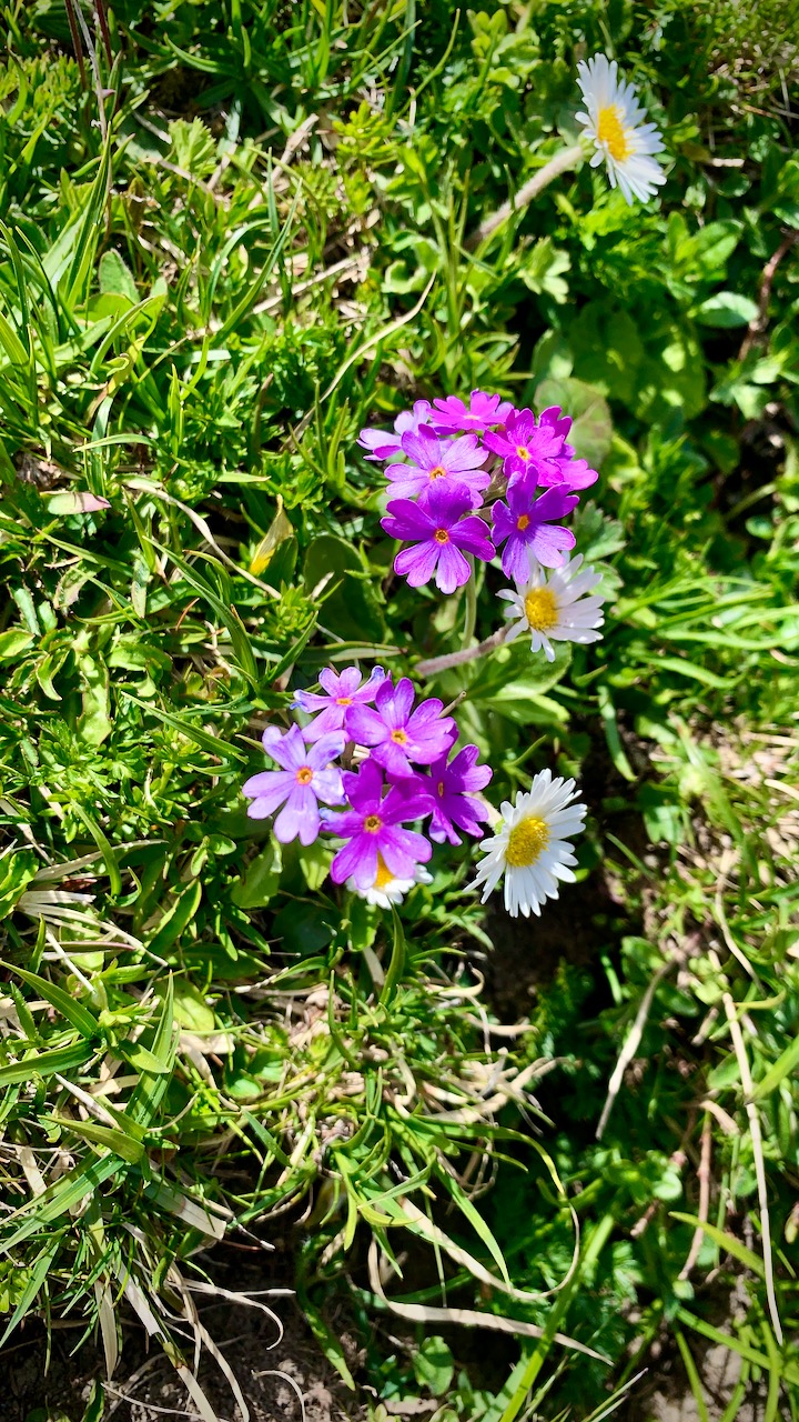 Bild ohne Beschreibung