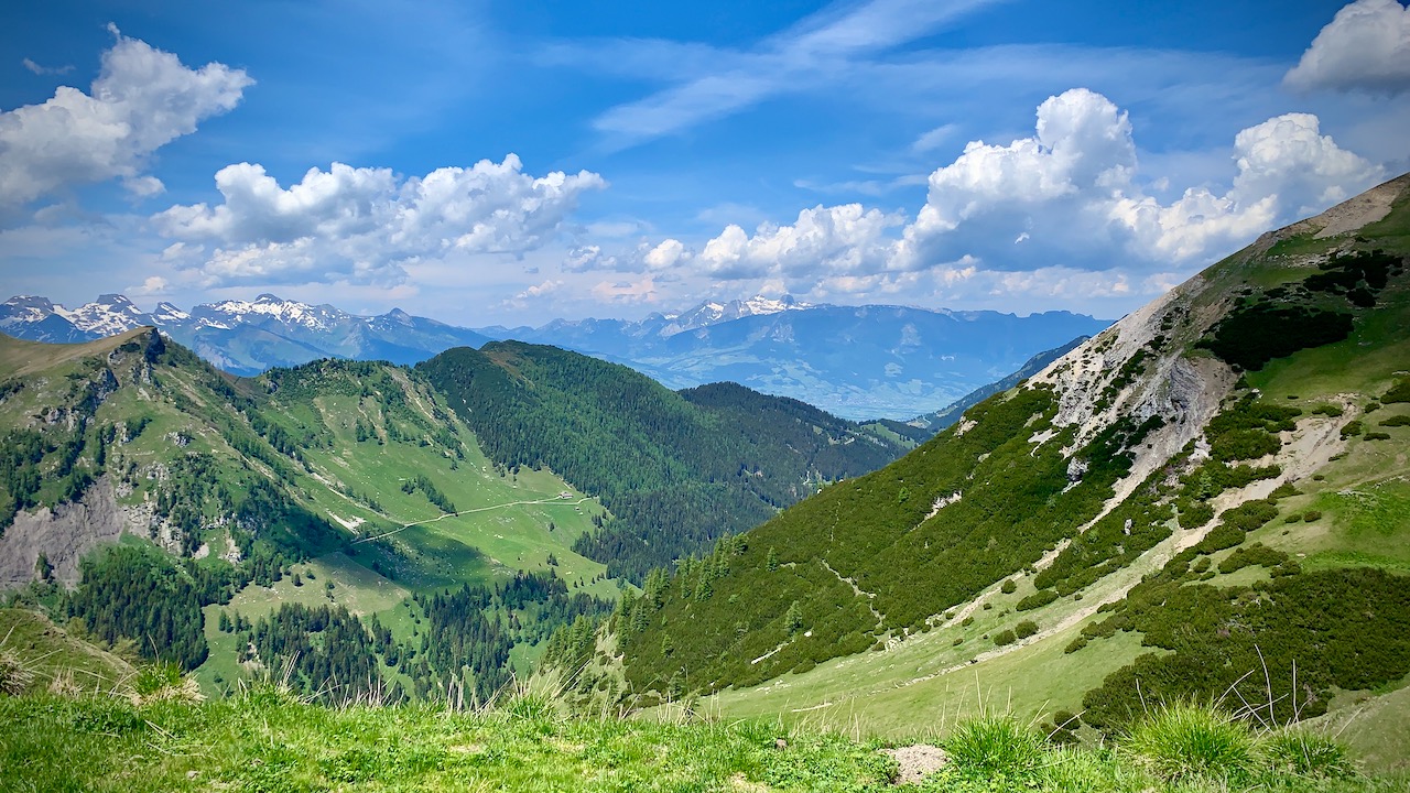 Bild ohne Beschreibung