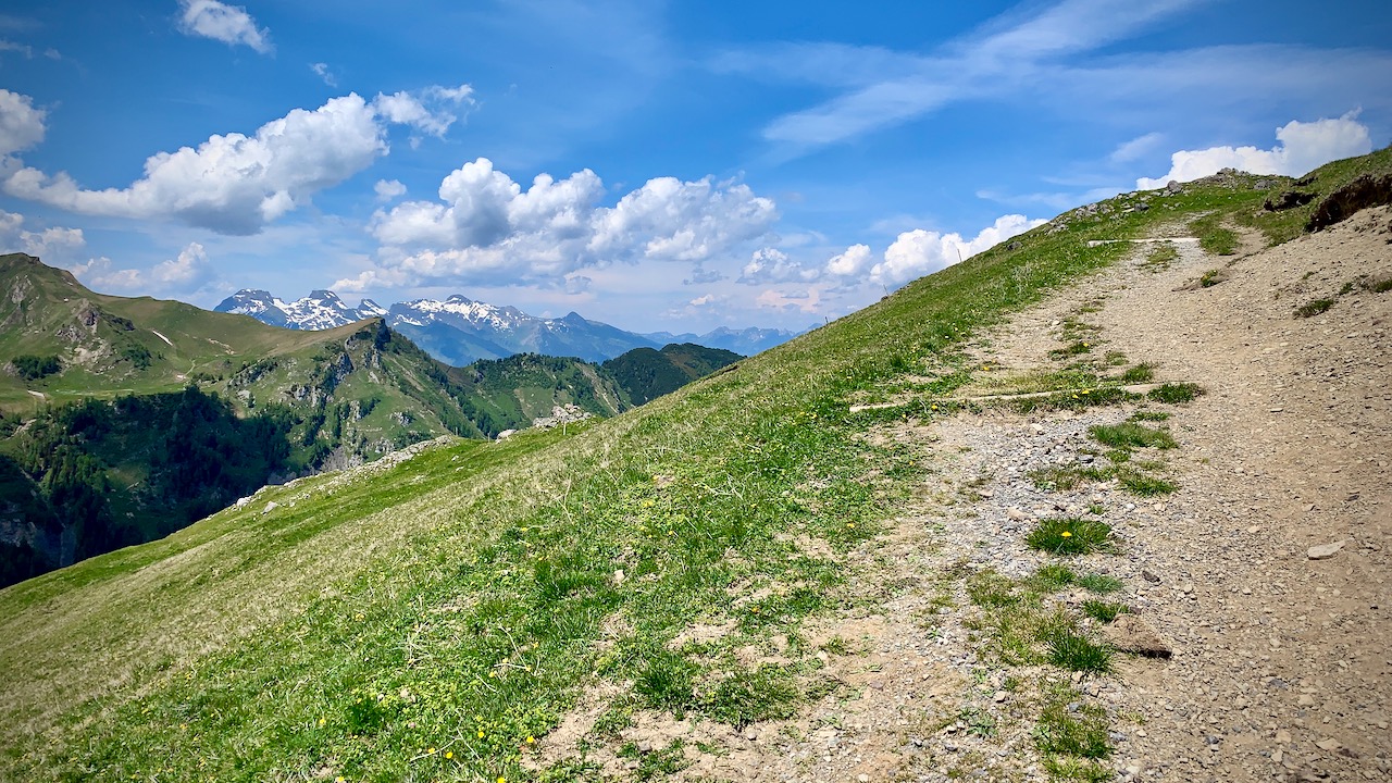 Bild ohne Beschreibung