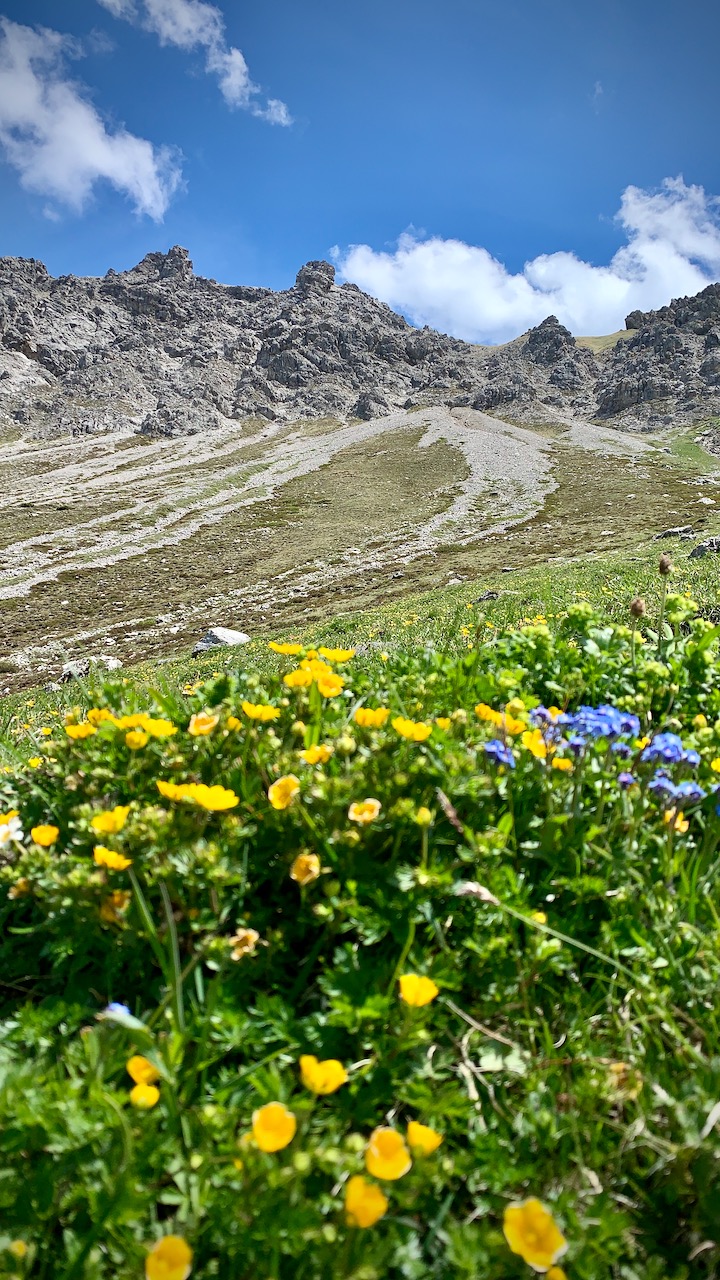 Bild ohne Beschreibung