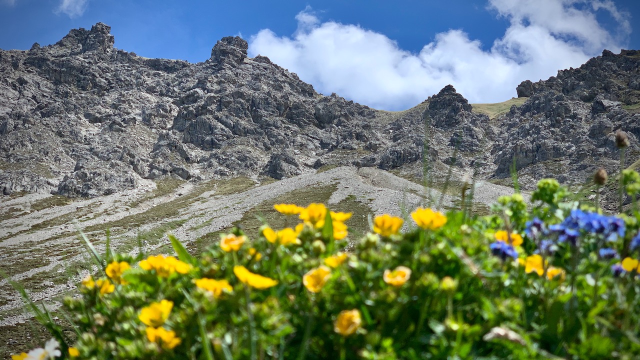 Bild ohne Beschreibung