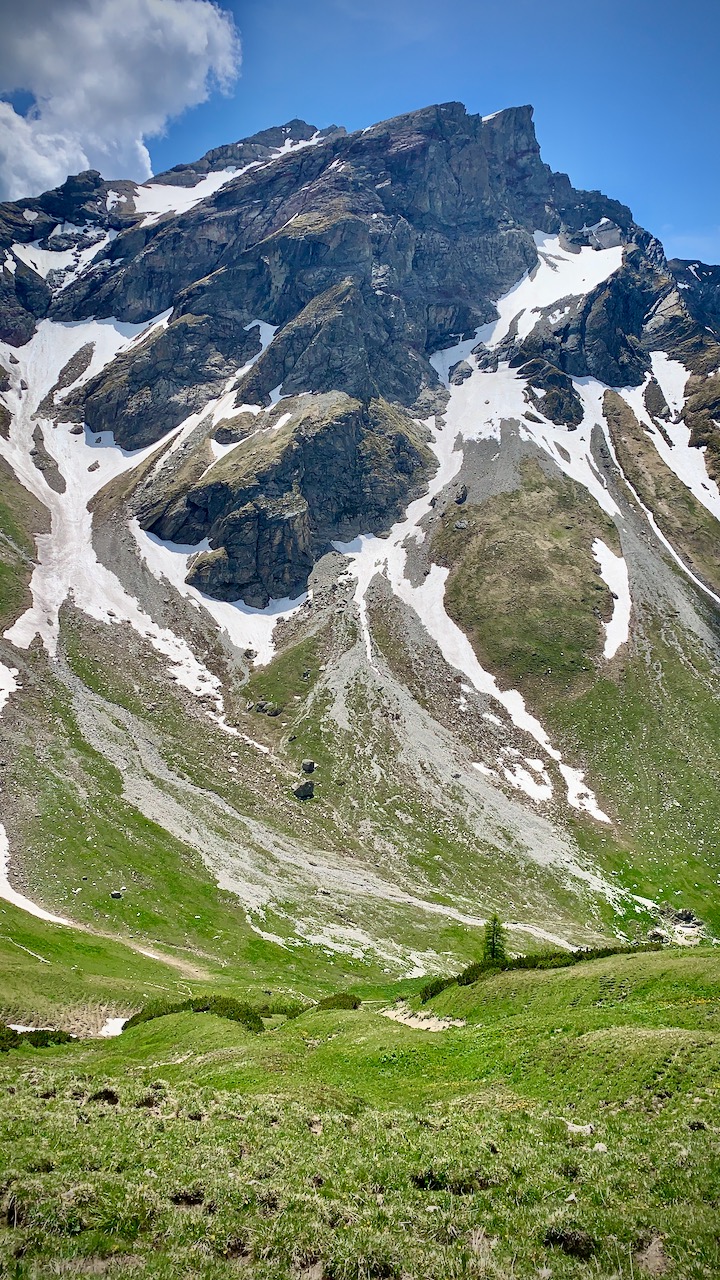 Bild ohne Beschreibung