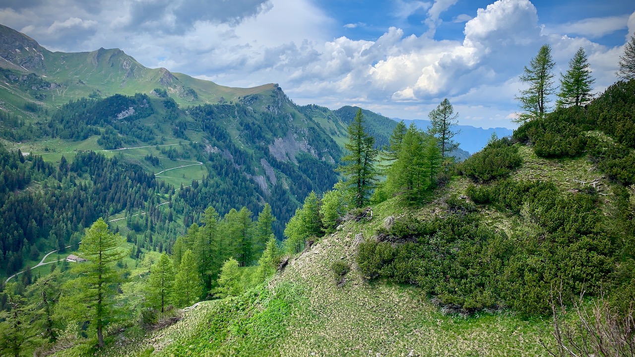 Bild ohne Beschreibung