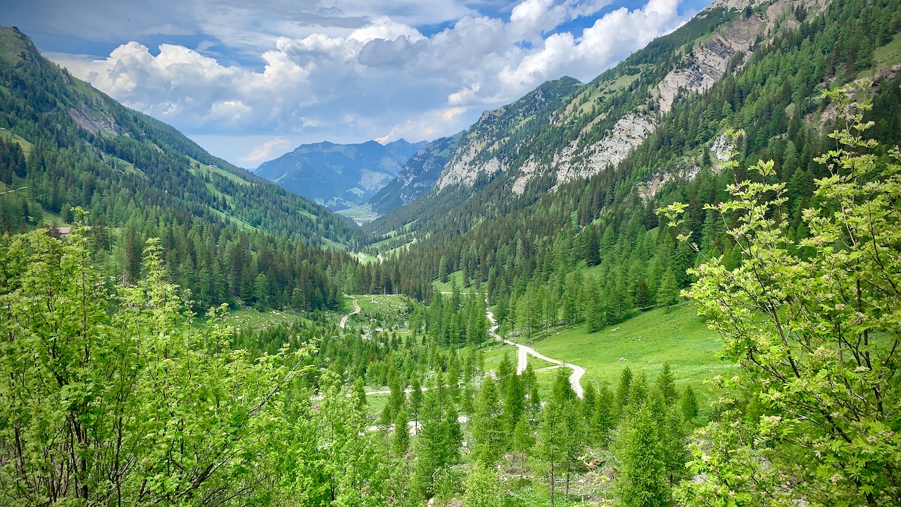 Bild ohne Beschreibung