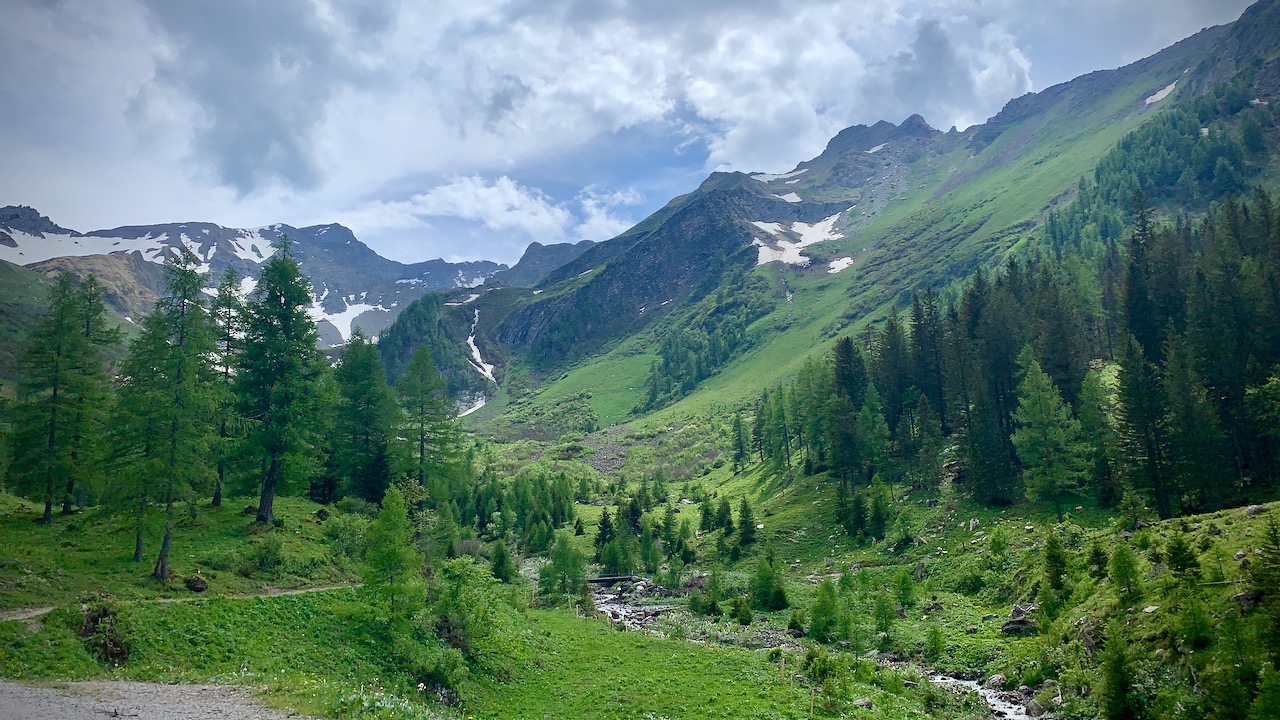 Bild ohne Beschreibung