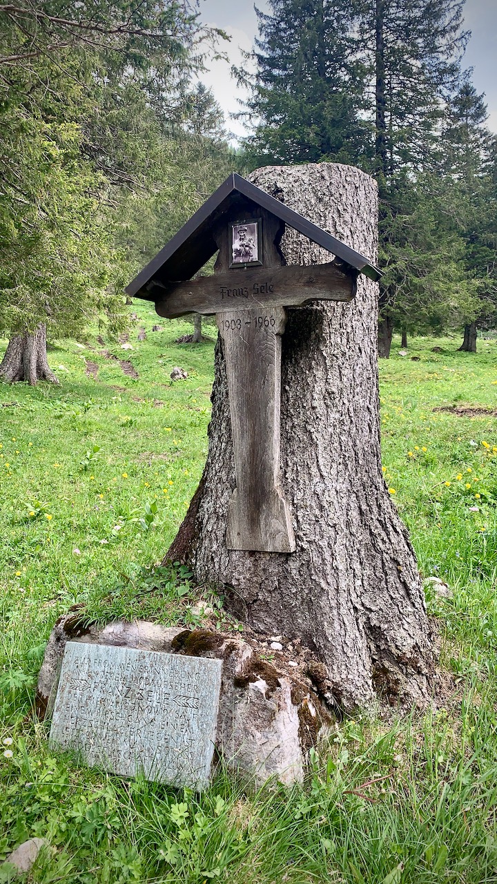 Bild ohne Beschreibung