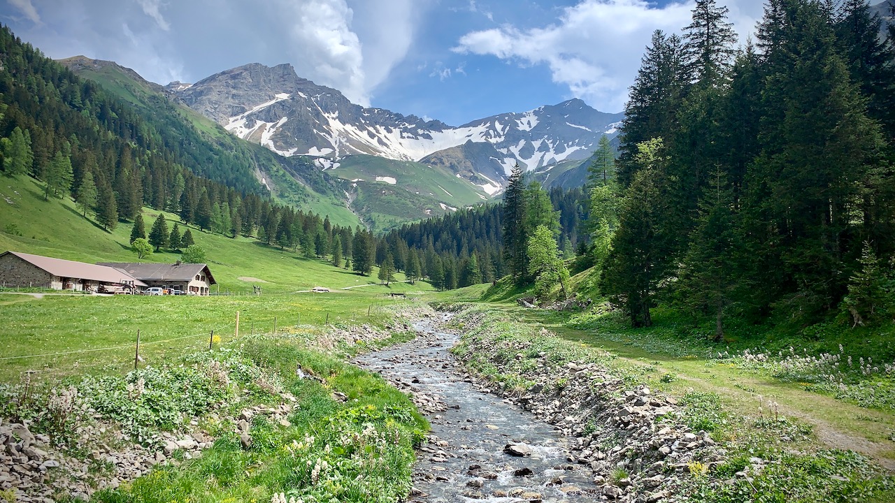 Bild ohne Beschreibung