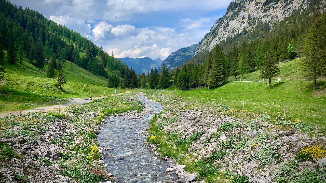 Bild ohne Beschreibung