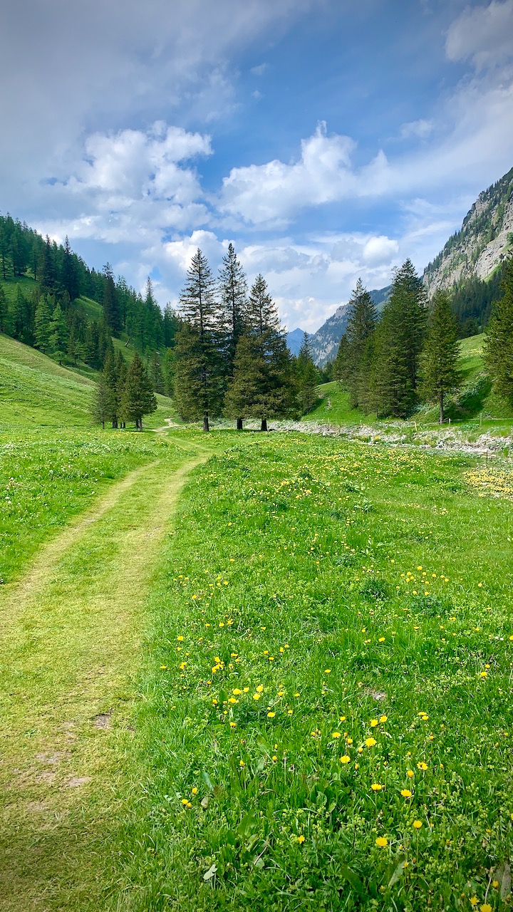 Bild ohne Beschreibung