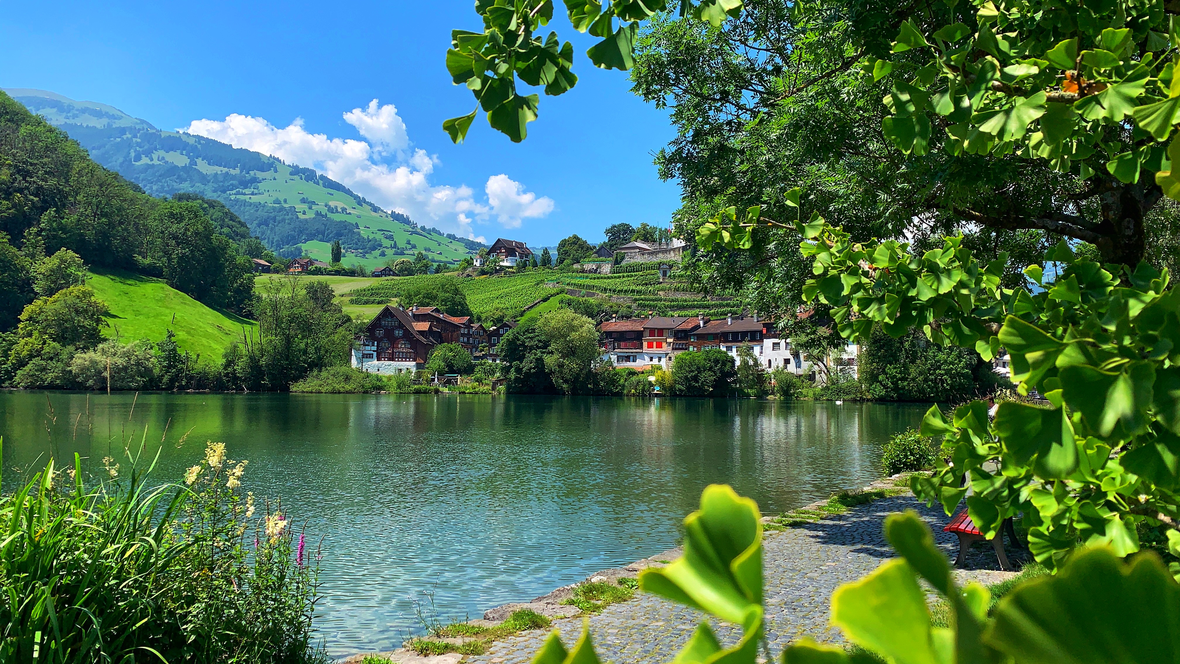 Bild ohne Beschreibung