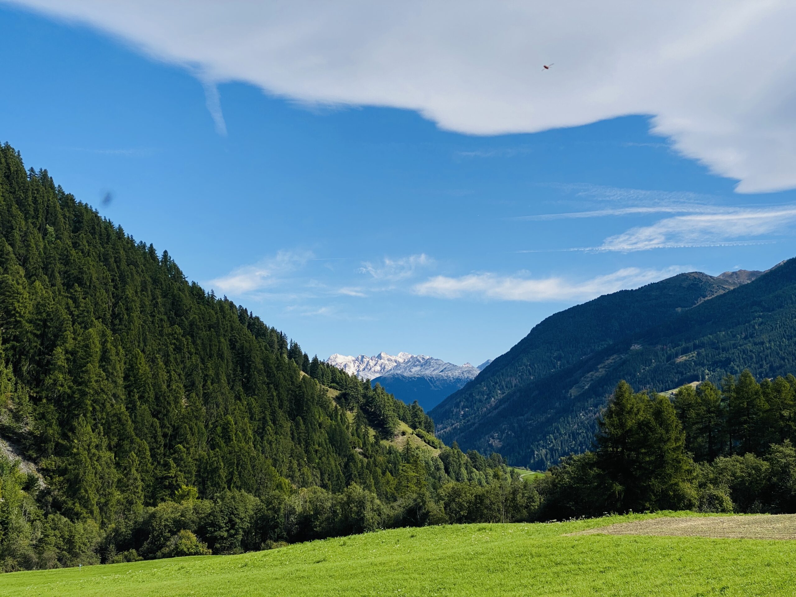 Bild ohne Beschreibung