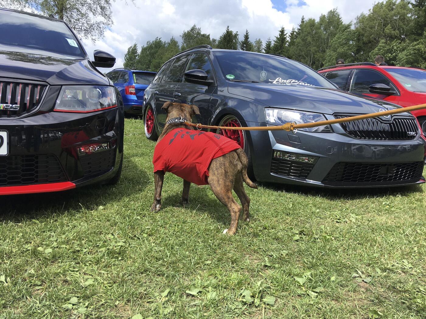 Bild ohne Beschreibung Bild ohne Beschreibung