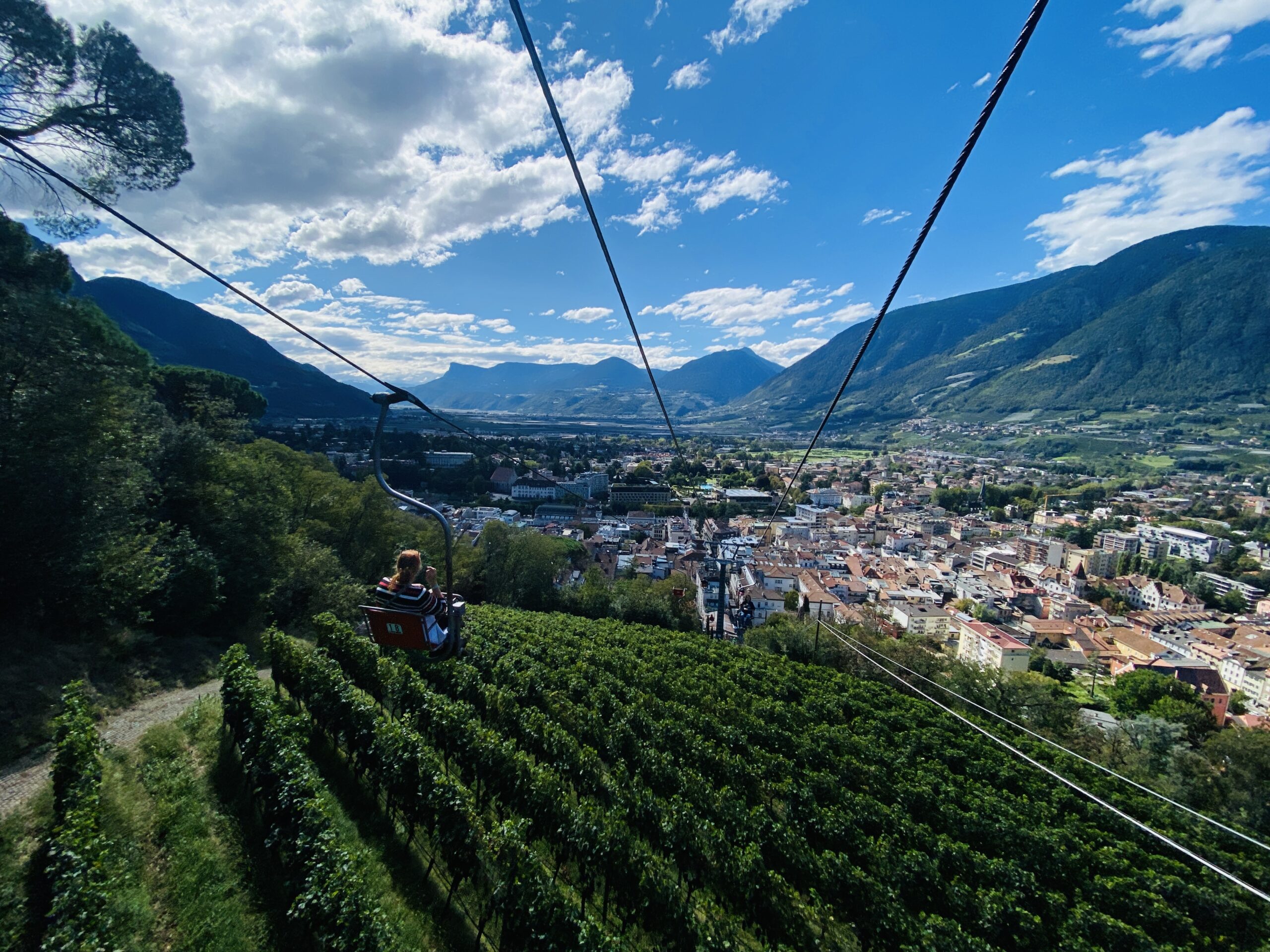 Bild ohne Beschreibung