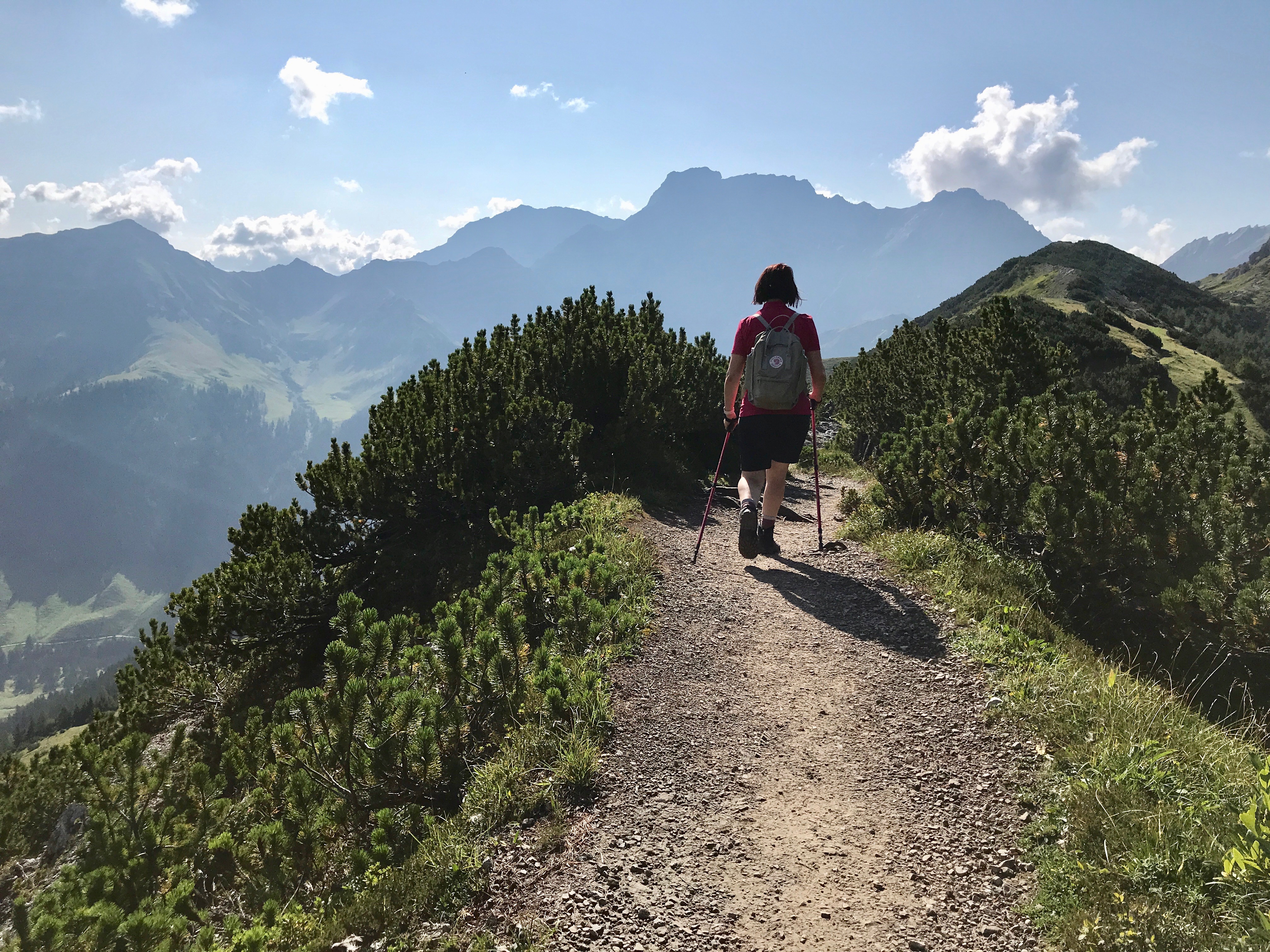 Bild ohne Beschreibung