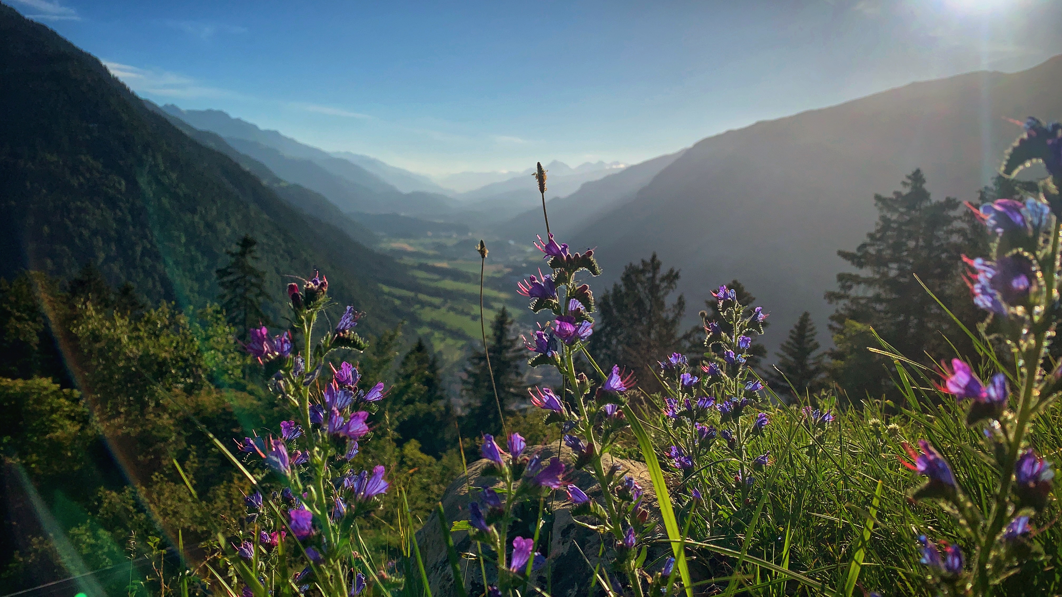 Bild ohne Beschreibung