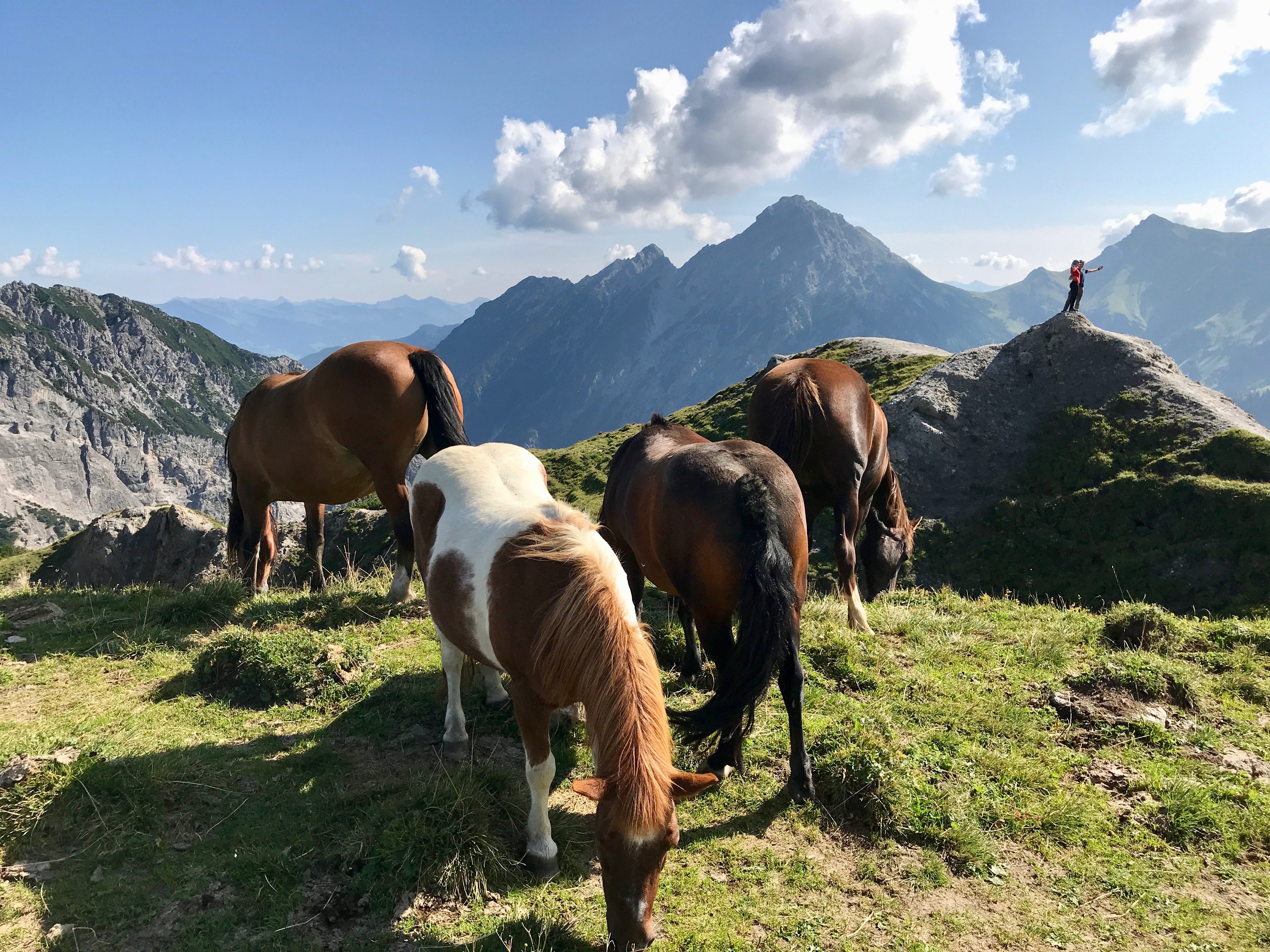 Bild ohne Beschreibung