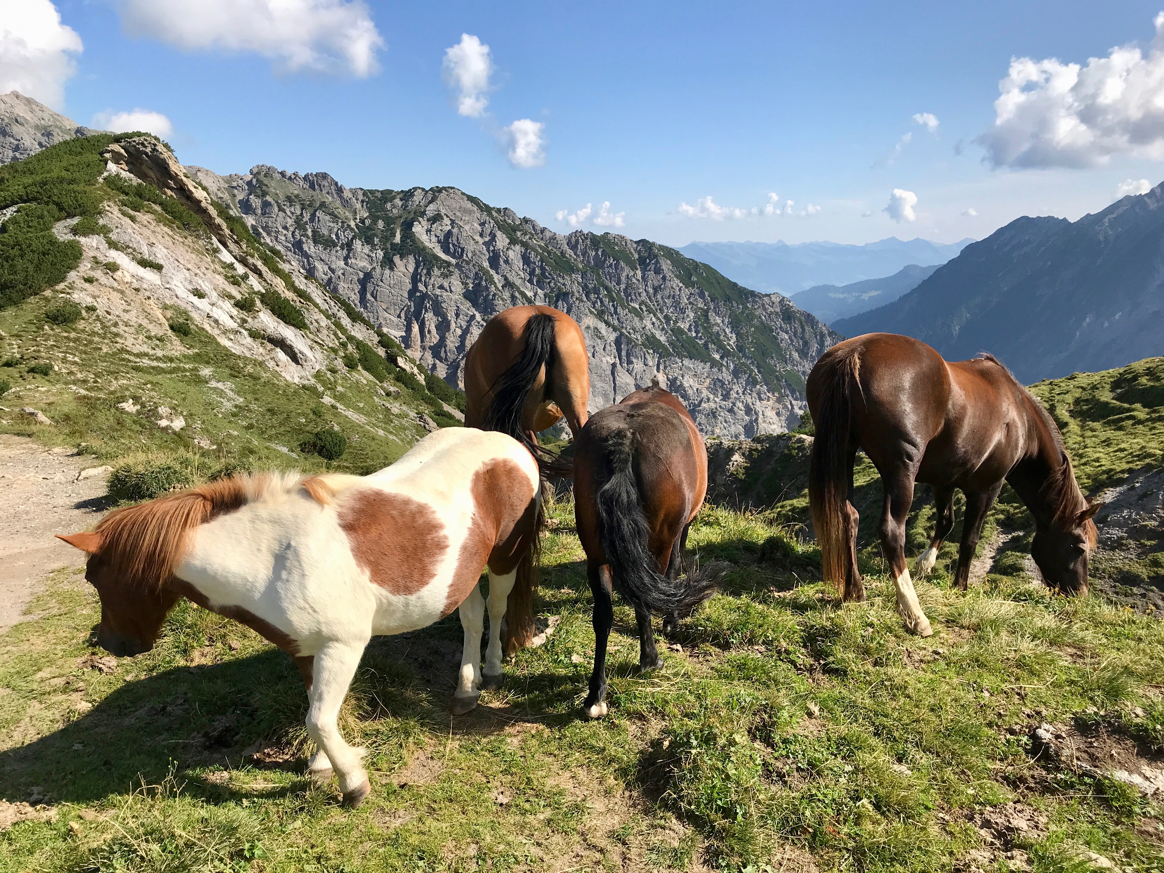 Bild ohne Beschreibung