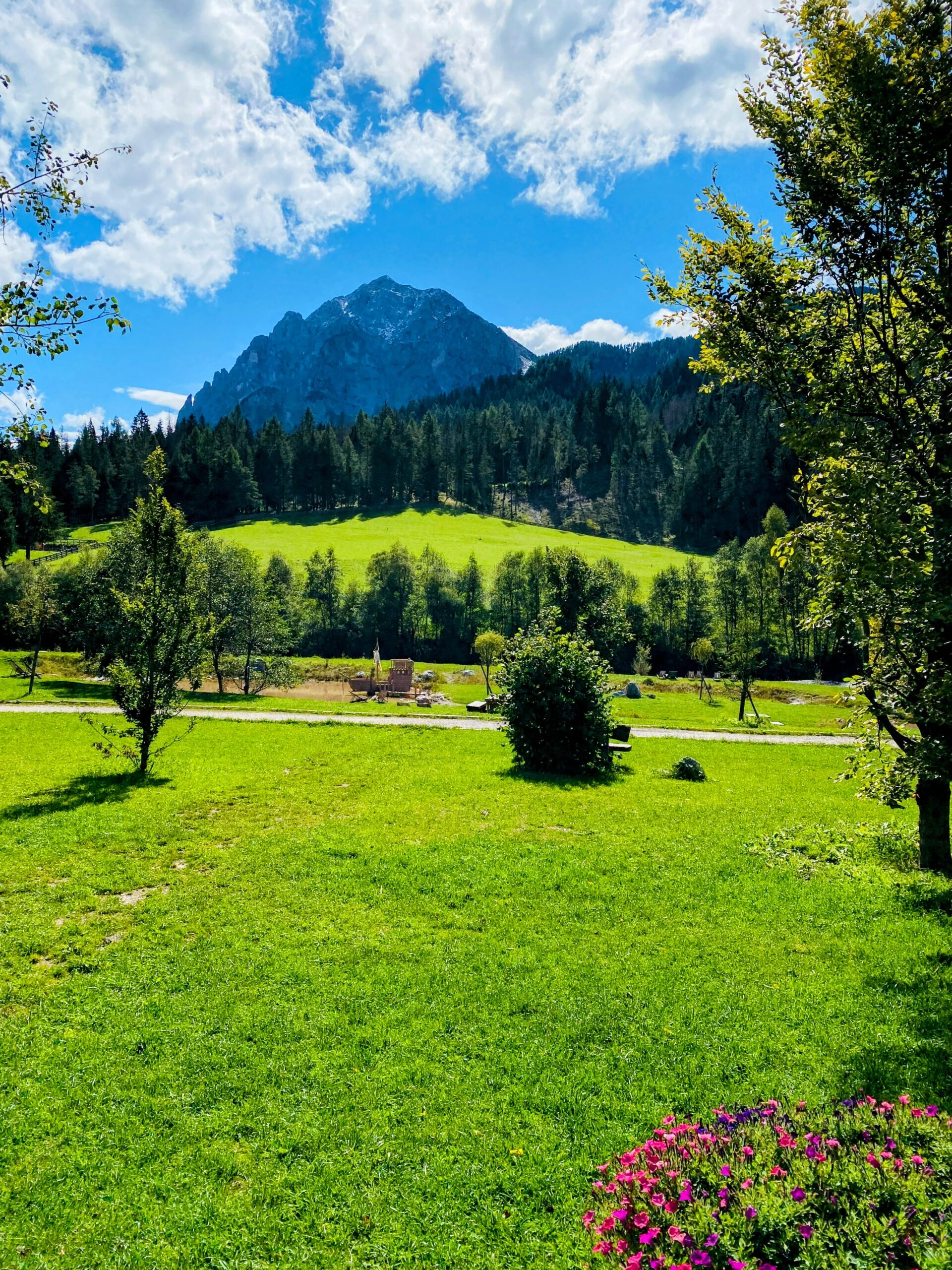 Bild ohne Beschreibung