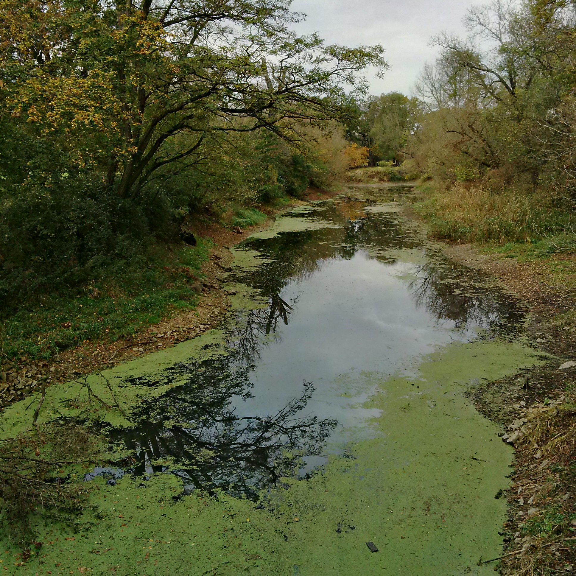 Bild ohne Beschreibung