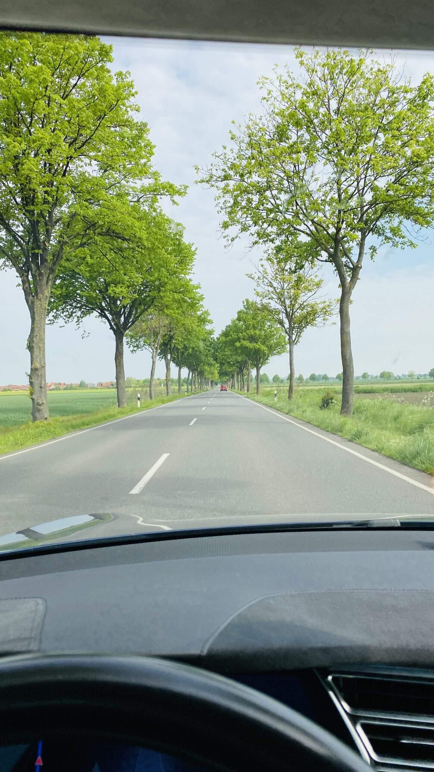 Bild ohne Beschreibung Bild ohne Beschreibung