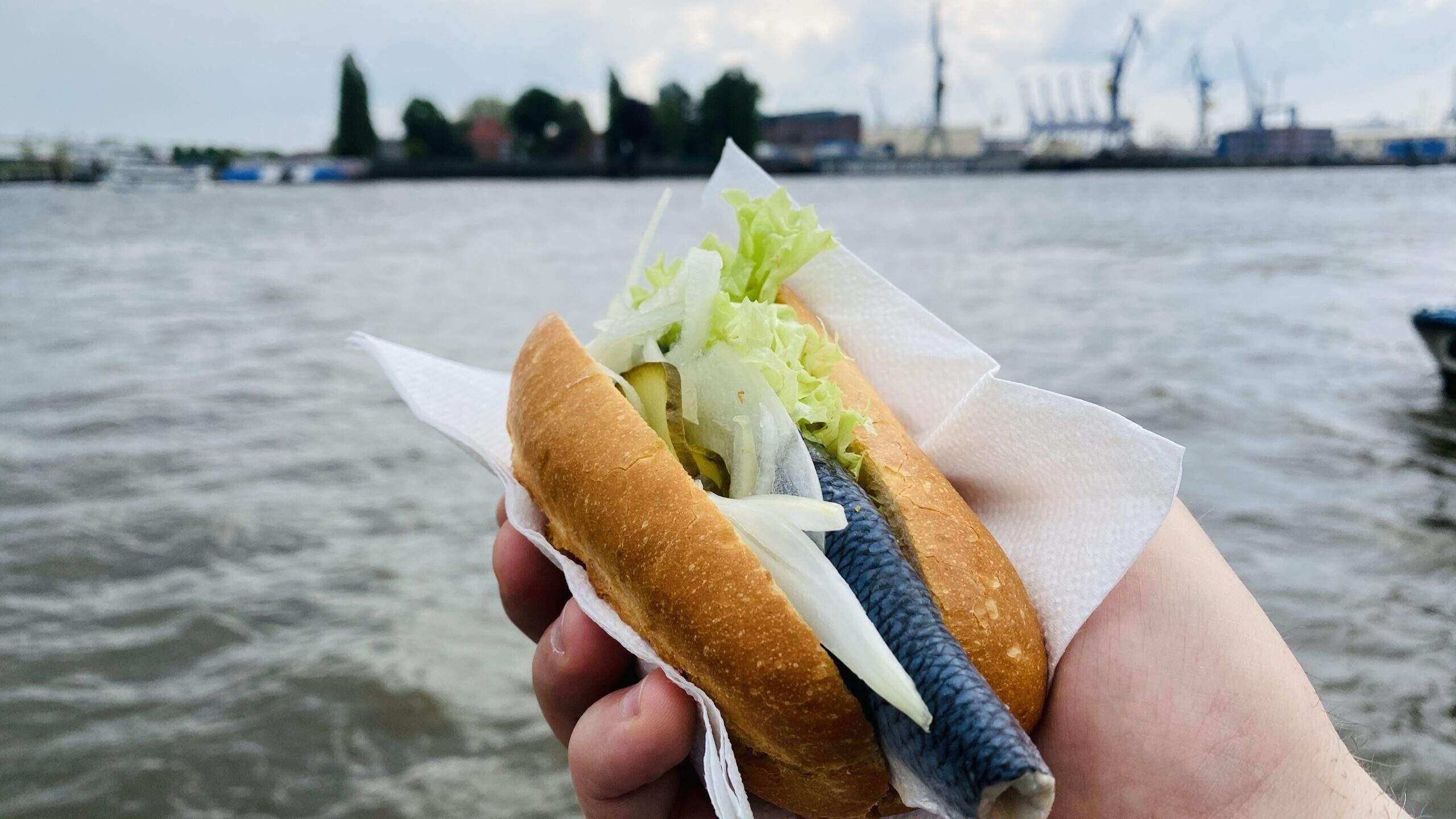 Bild ohne Beschreibung Bild ohne Beschreibung