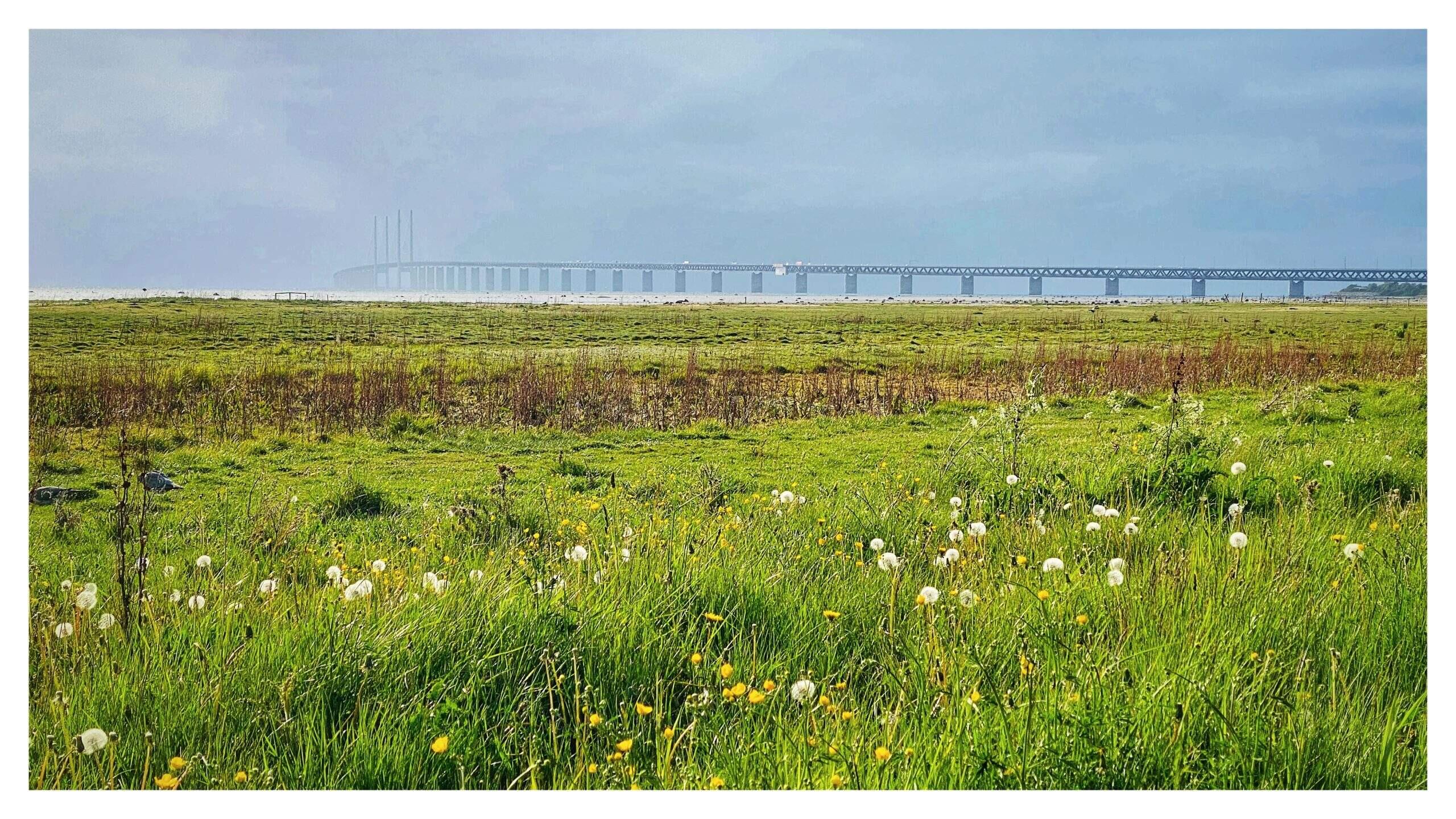 Bild ohne Beschreibung Bild ohne Beschreibung