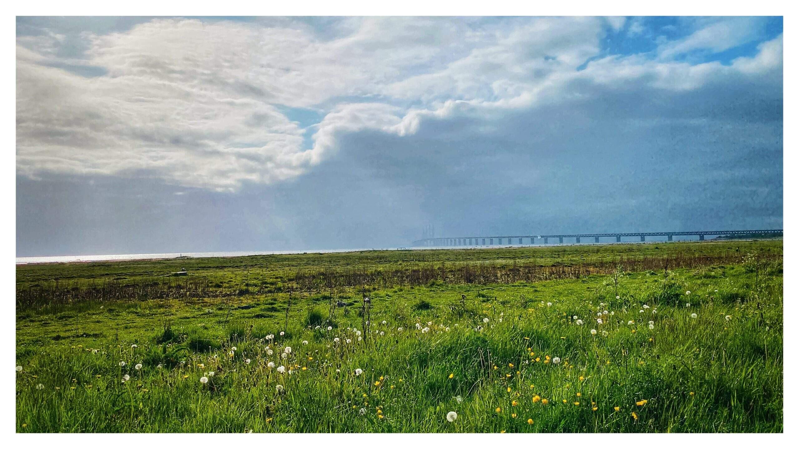 Bild ohne Beschreibung Bild ohne Beschreibung