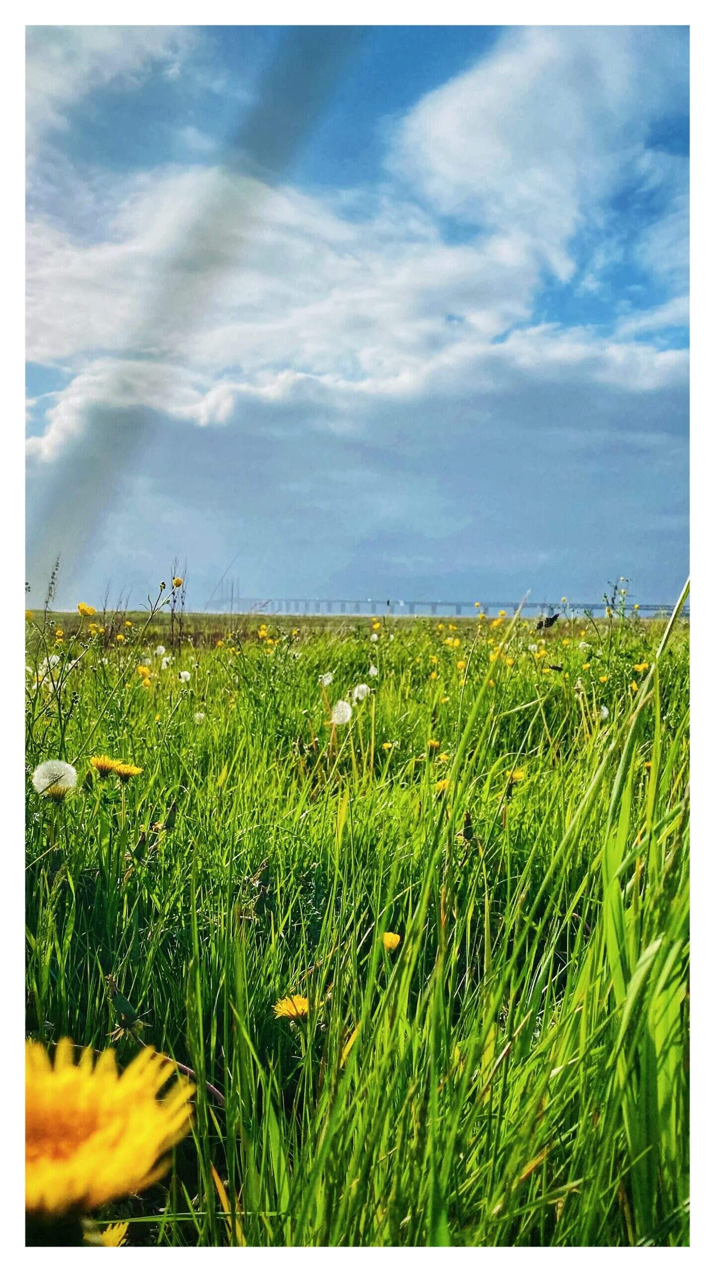 Bild ohne Beschreibung Bild ohne Beschreibung