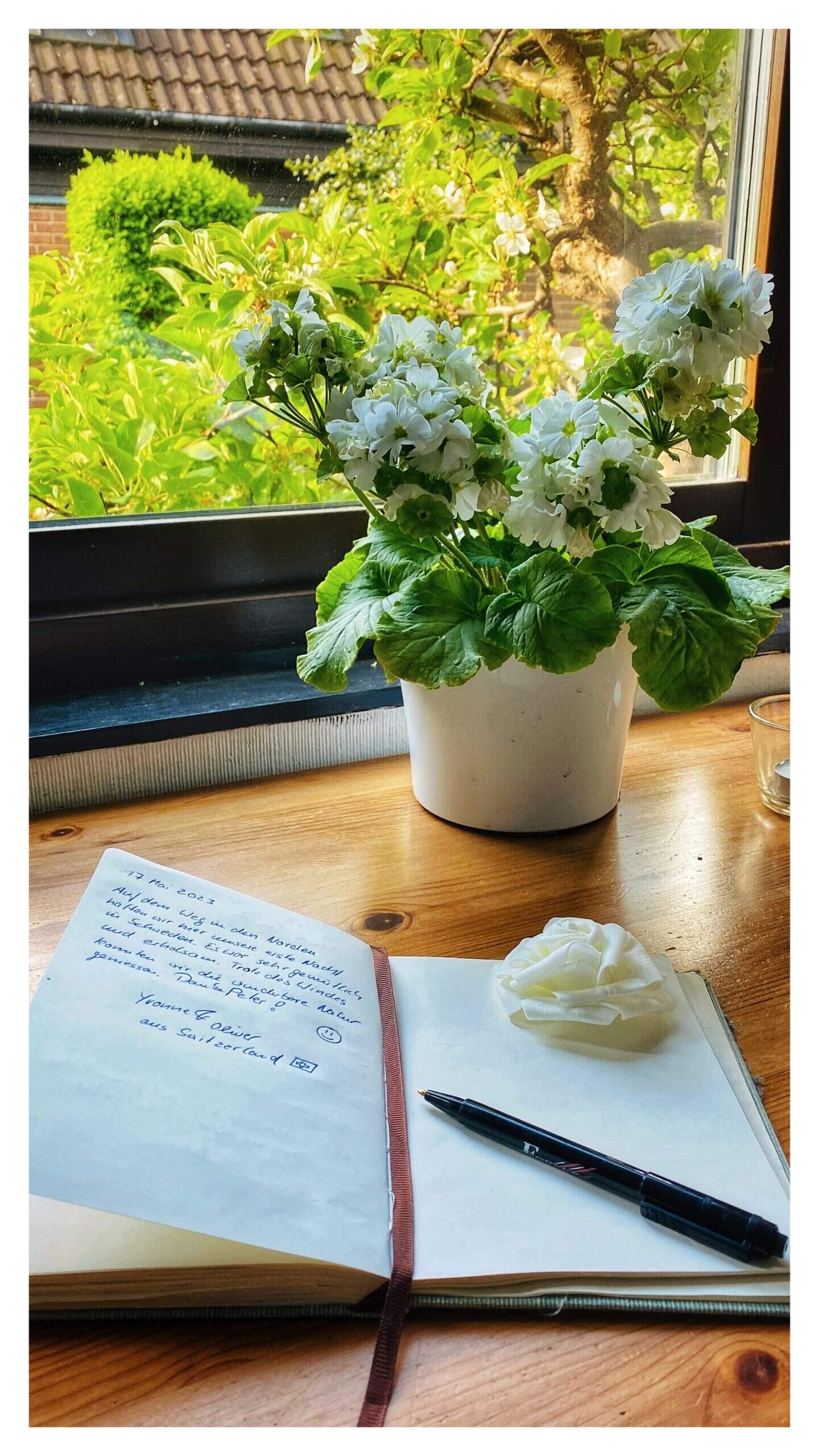 Bild ohne Beschreibung Bild ohne Beschreibung