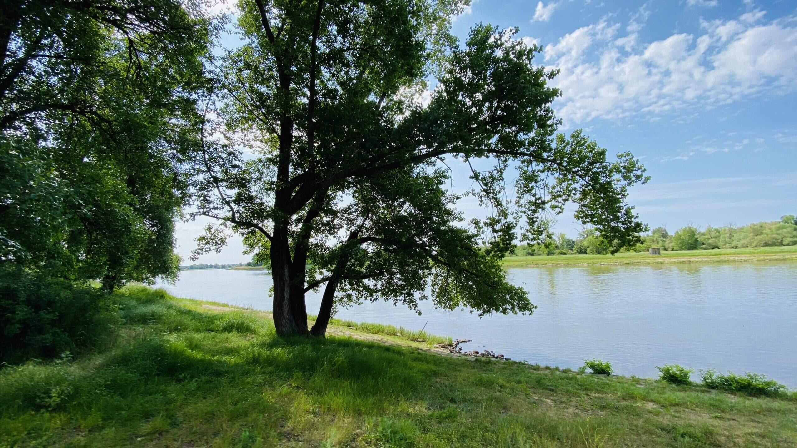 Bild ohne Beschreibung