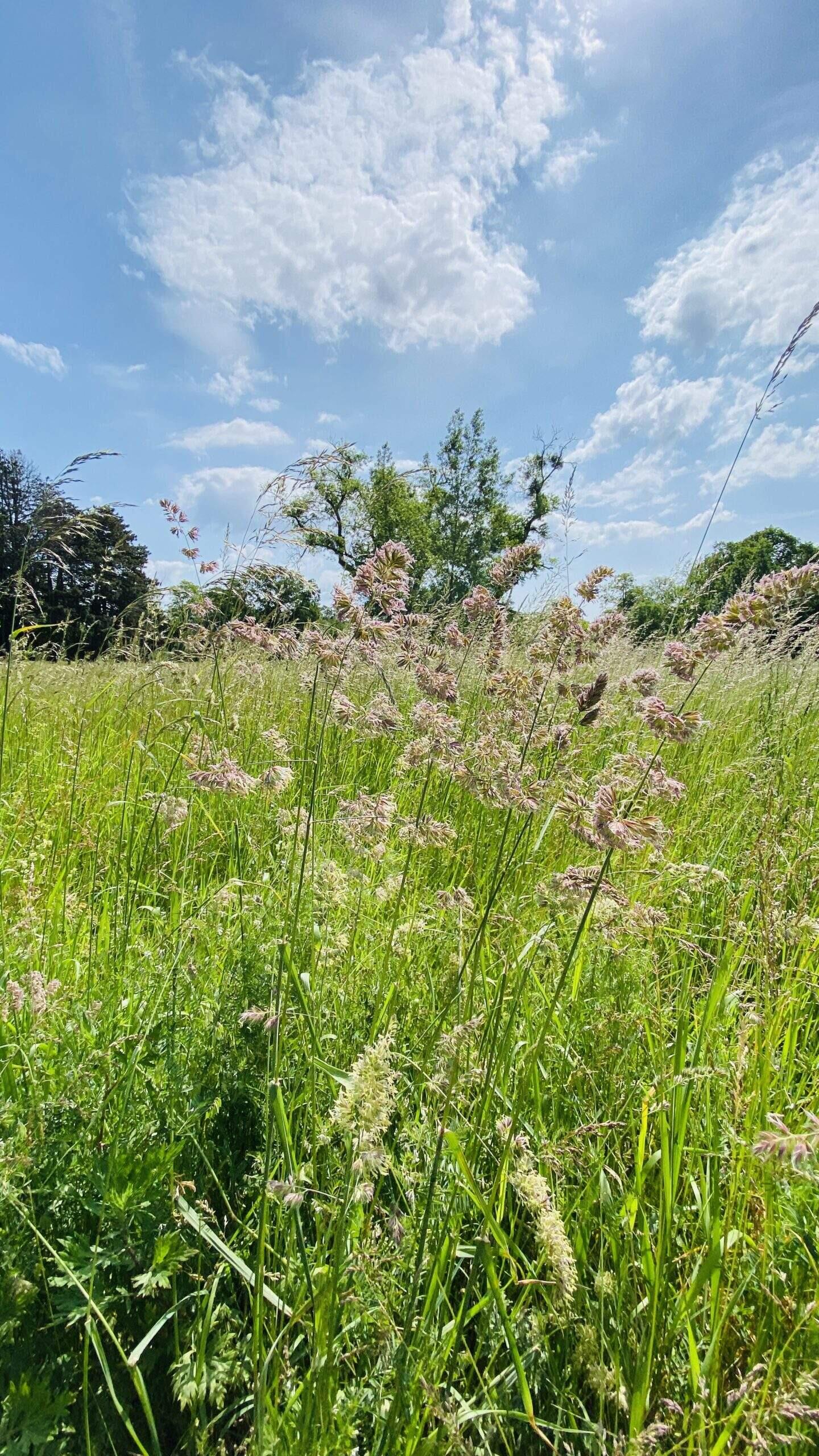 Bild ohne Beschreibung