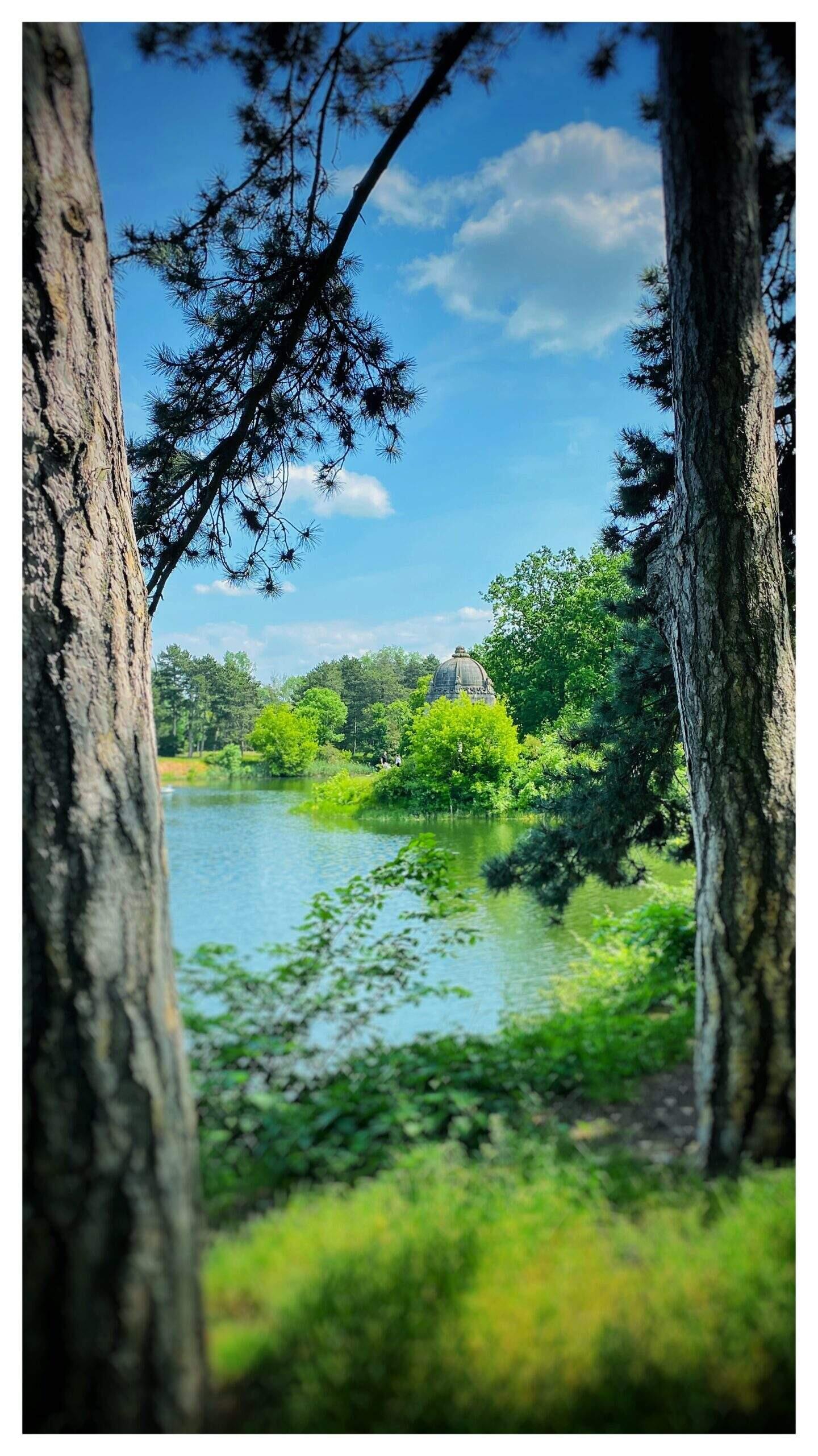 Bild ohne Beschreibung