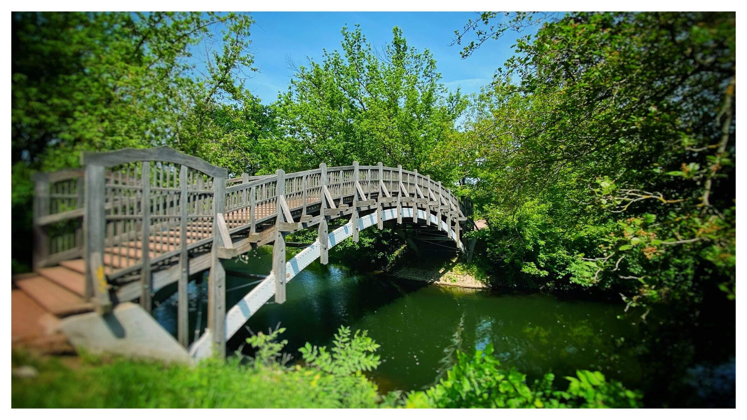 Bild ohne Beschreibung