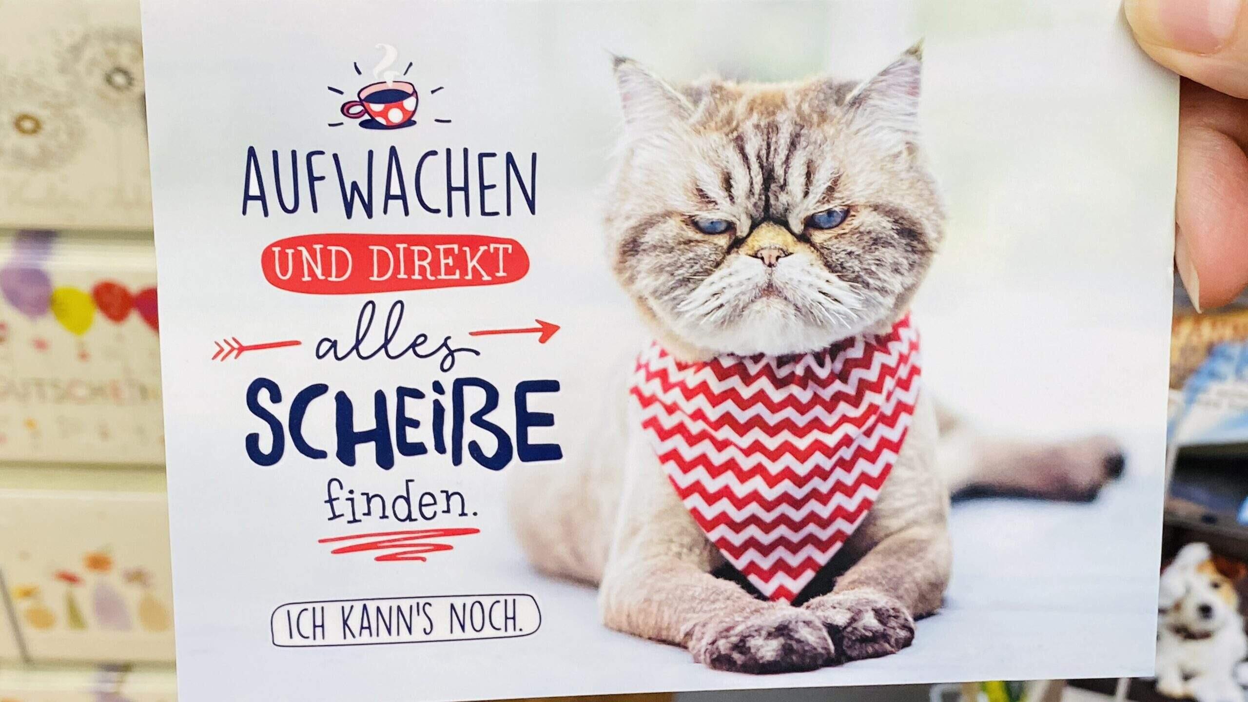 Bild ohne Beschreibung