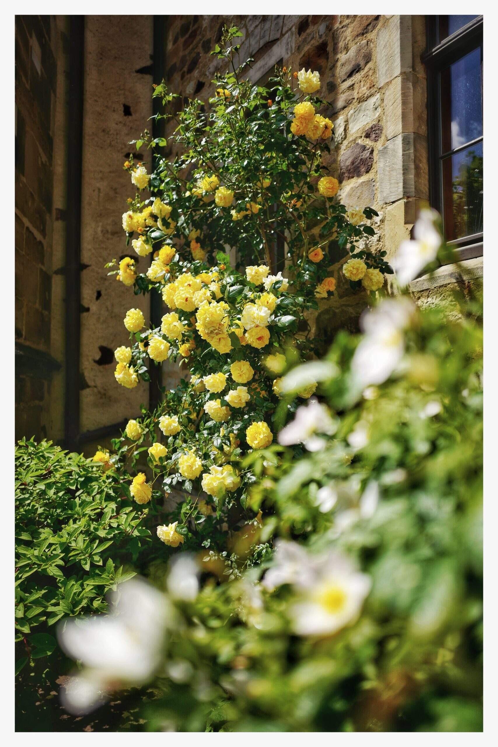 Bild ohne Beschreibung