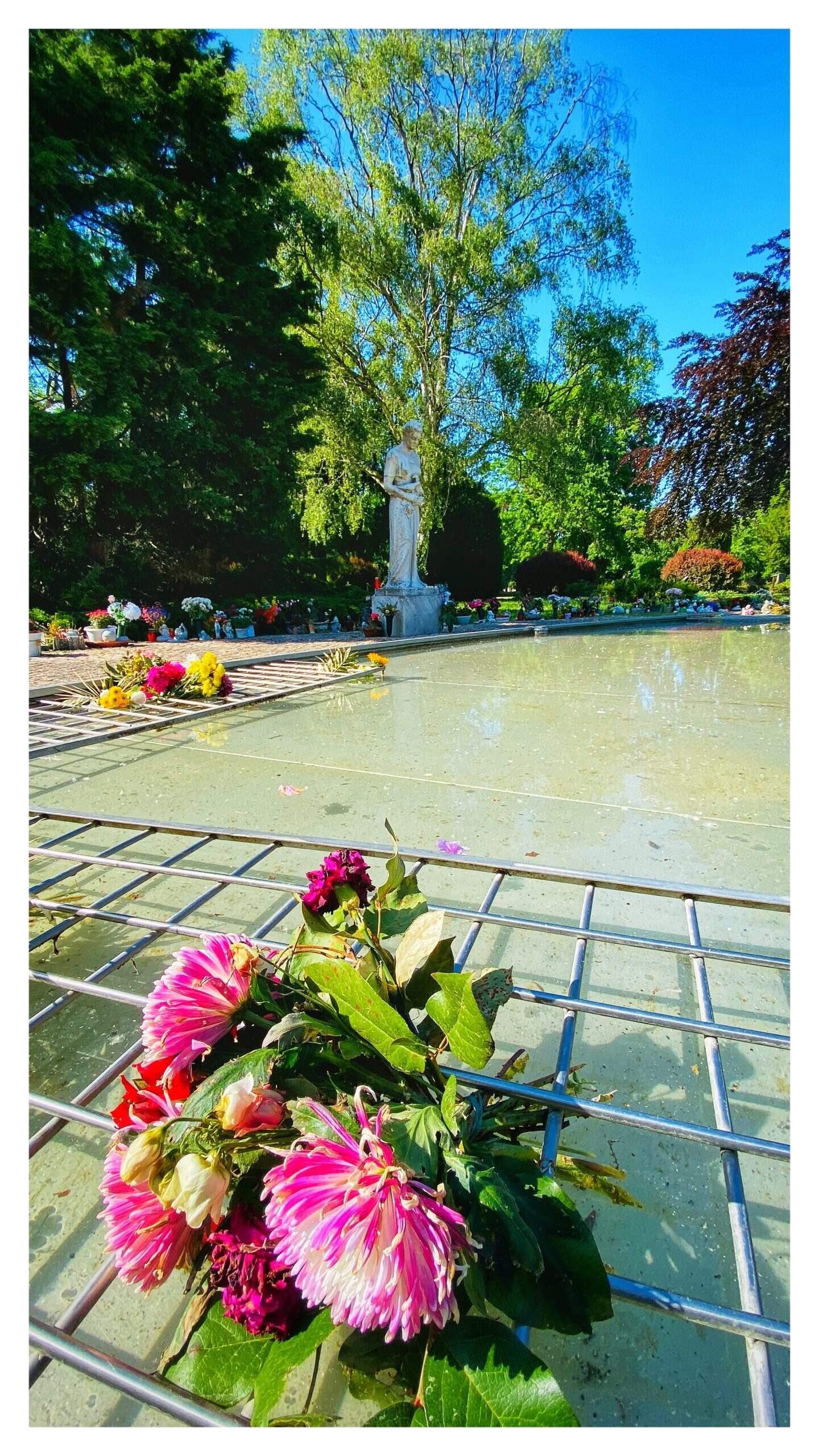 Bild ohne Beschreibung