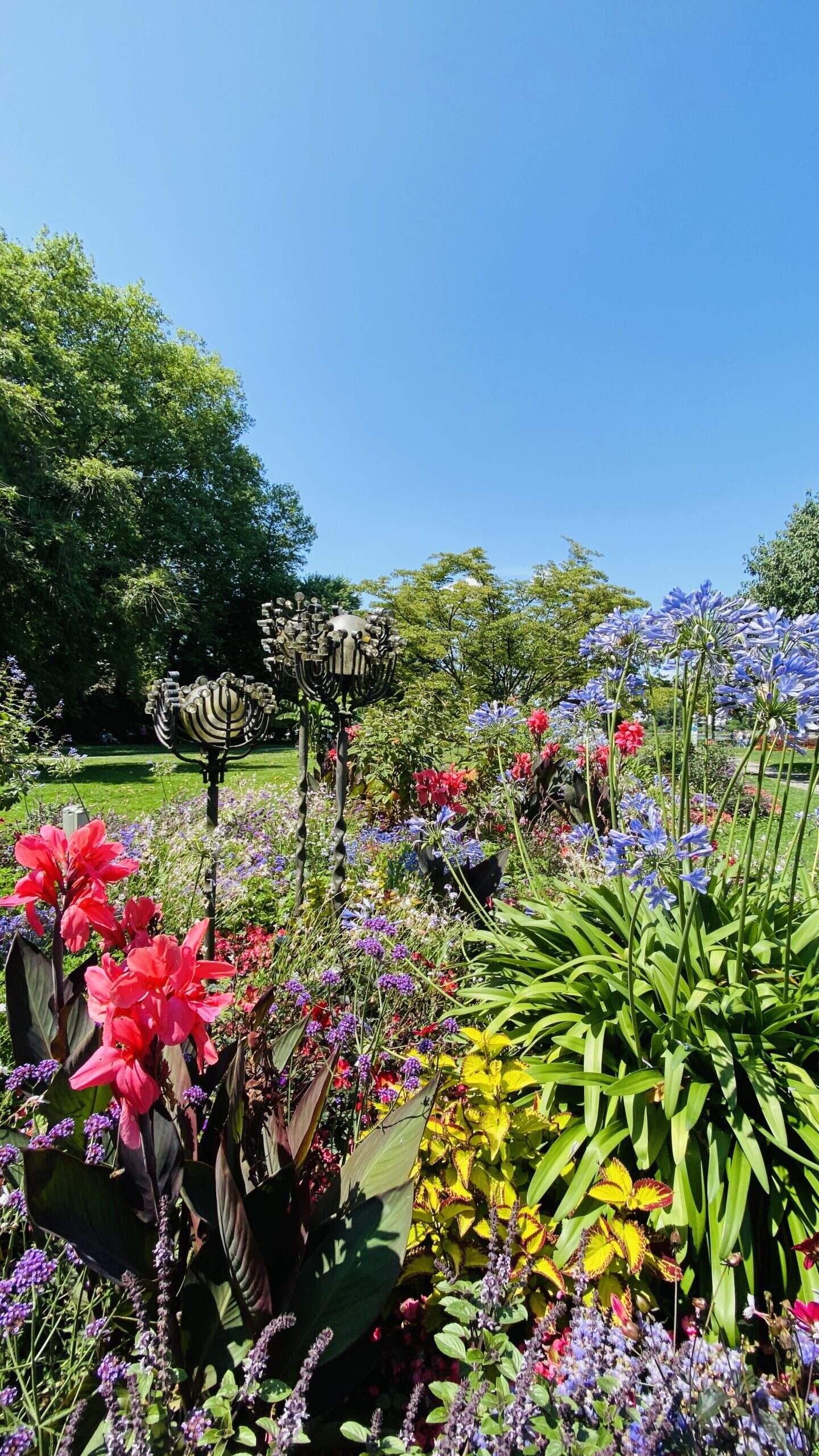 Bild ohne Beschreibung Bild ohne Beschreibung